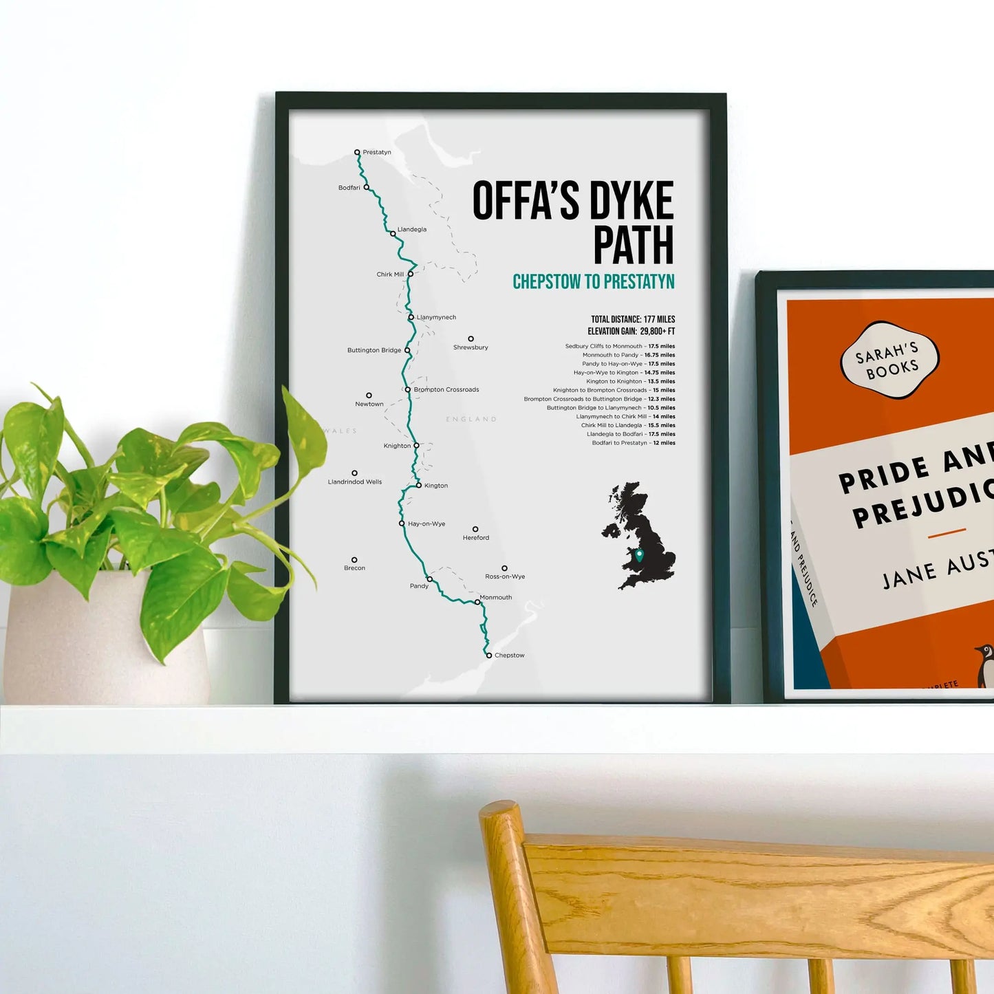 Framed picture on shelf beside a houseplant and another print.