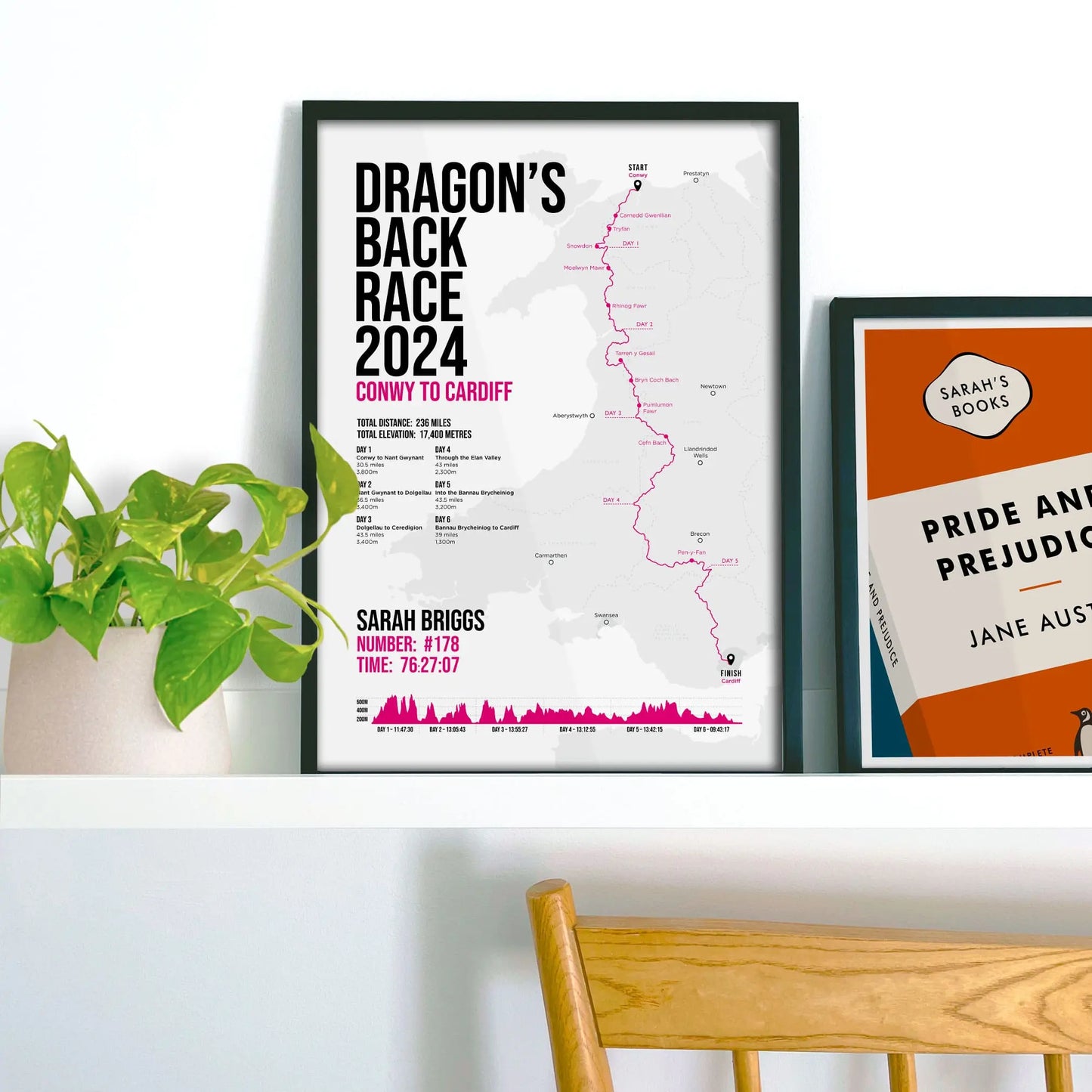 Framed print propped up on shelf beside a houseplant