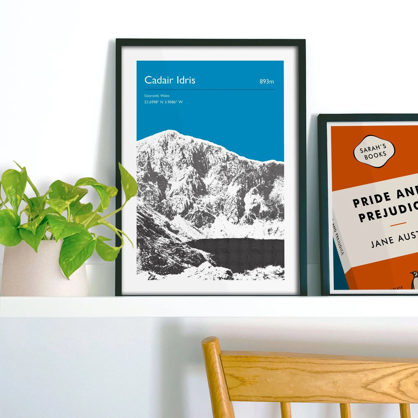 Framed picture on shelf beside a houseplant and another print.