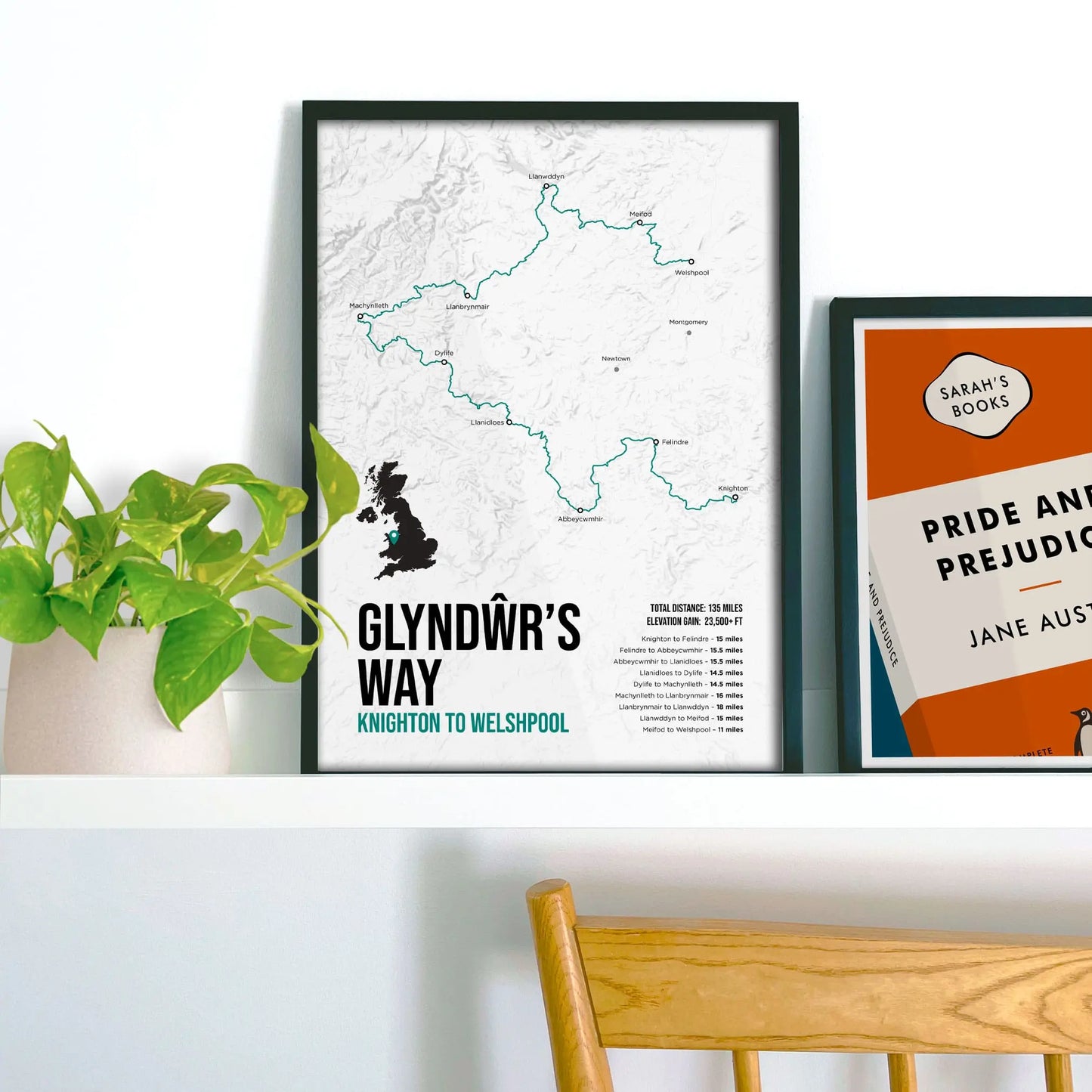 Framed picture on shelf beside a houseplant and another print.