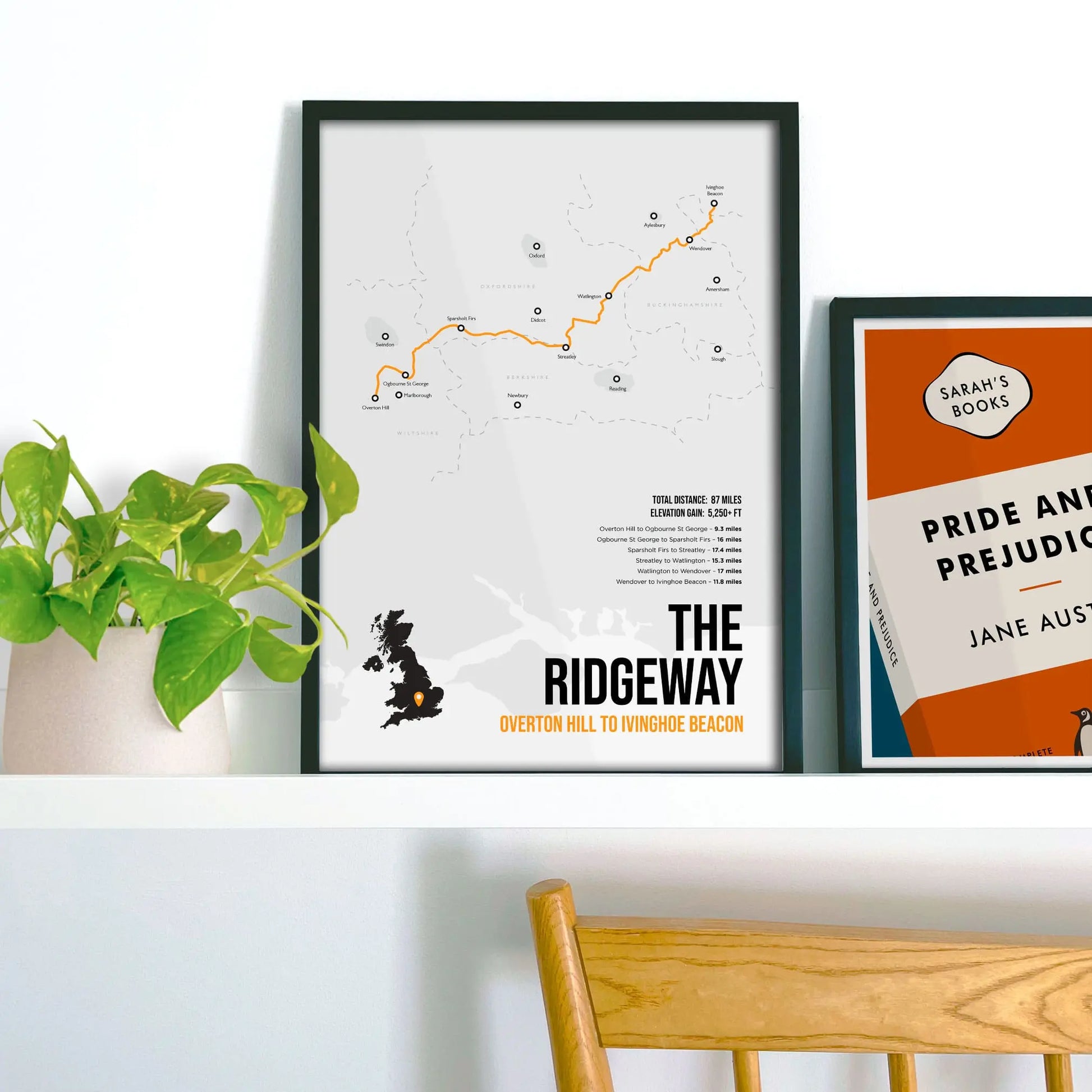 Framed picture on shelf beside a houseplant and another print.