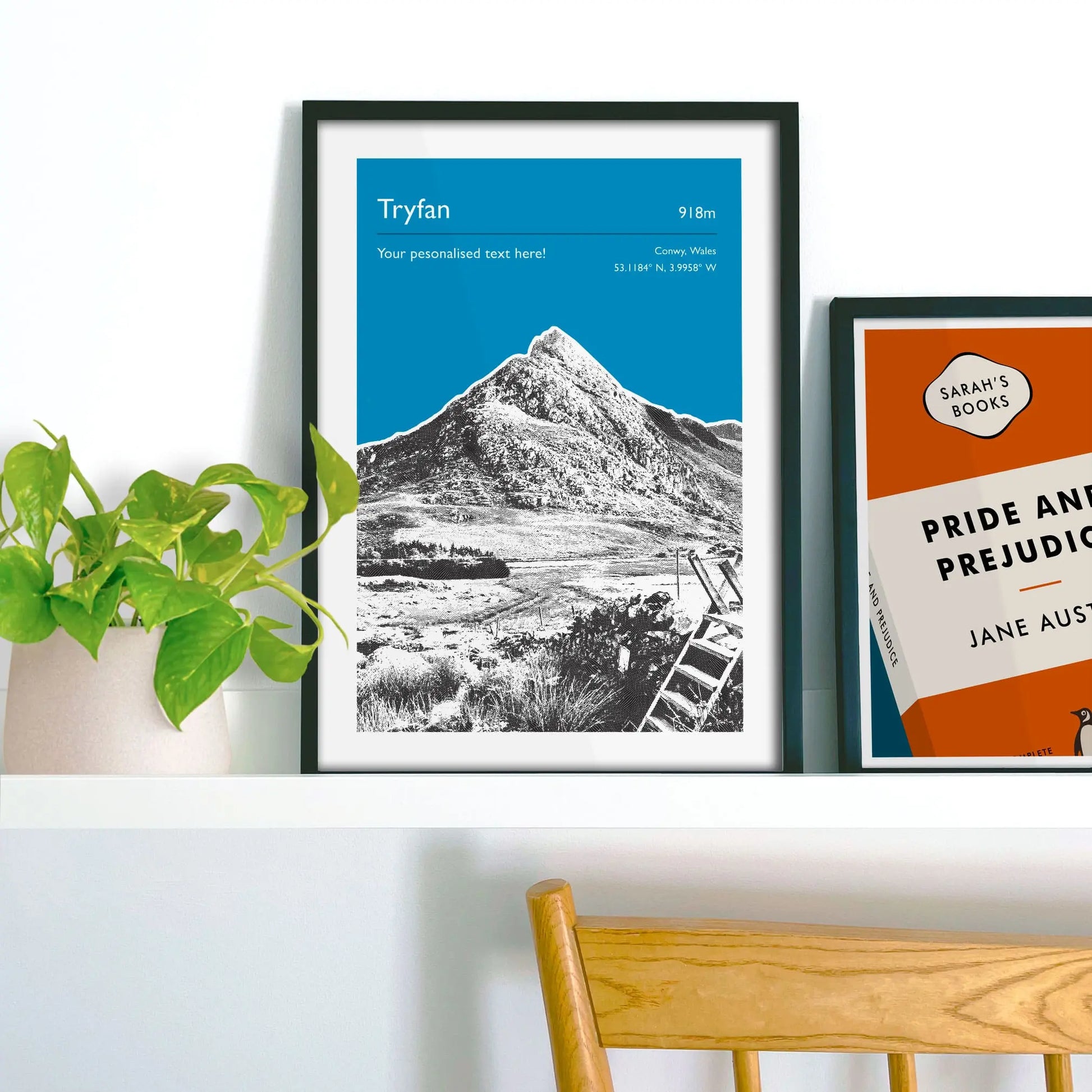 Framed picture on shelf beside a houseplant and another print.