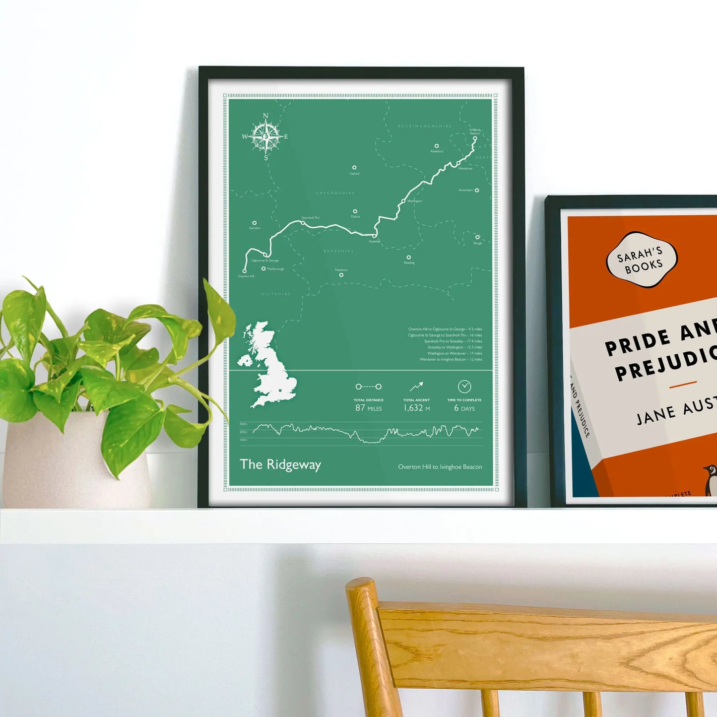 Framed picture on shelf beside a houseplant and another print.