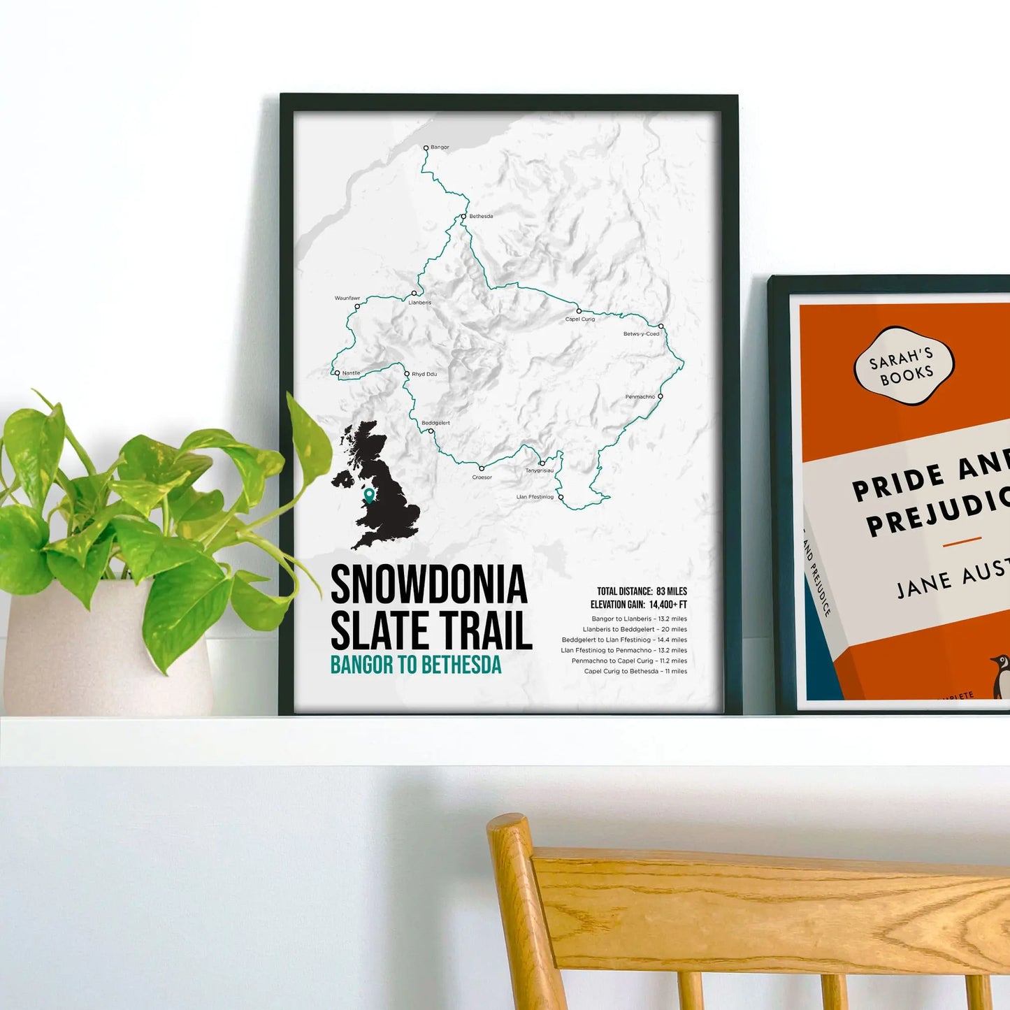 Framed picture on shelf beside a houseplant and another print.