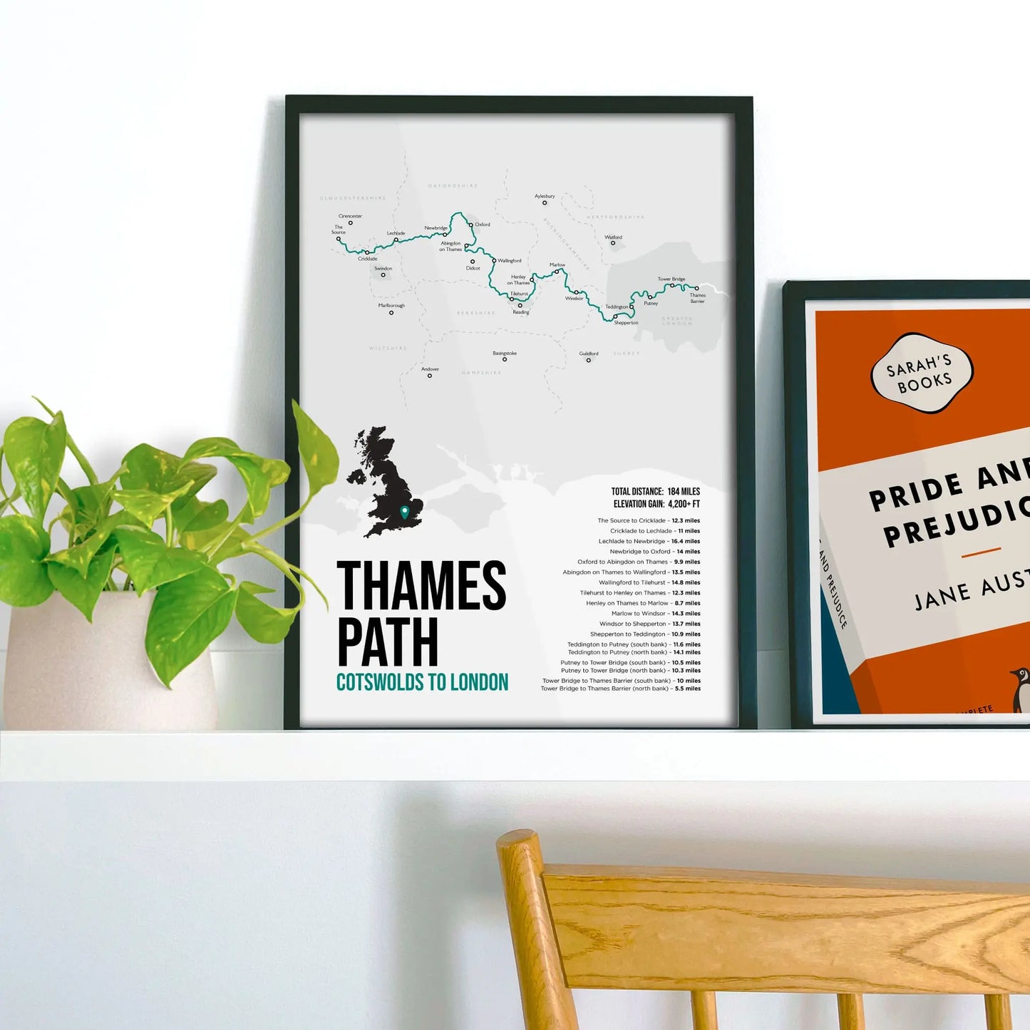 Framed picture on shelf beside a houseplant and another print.