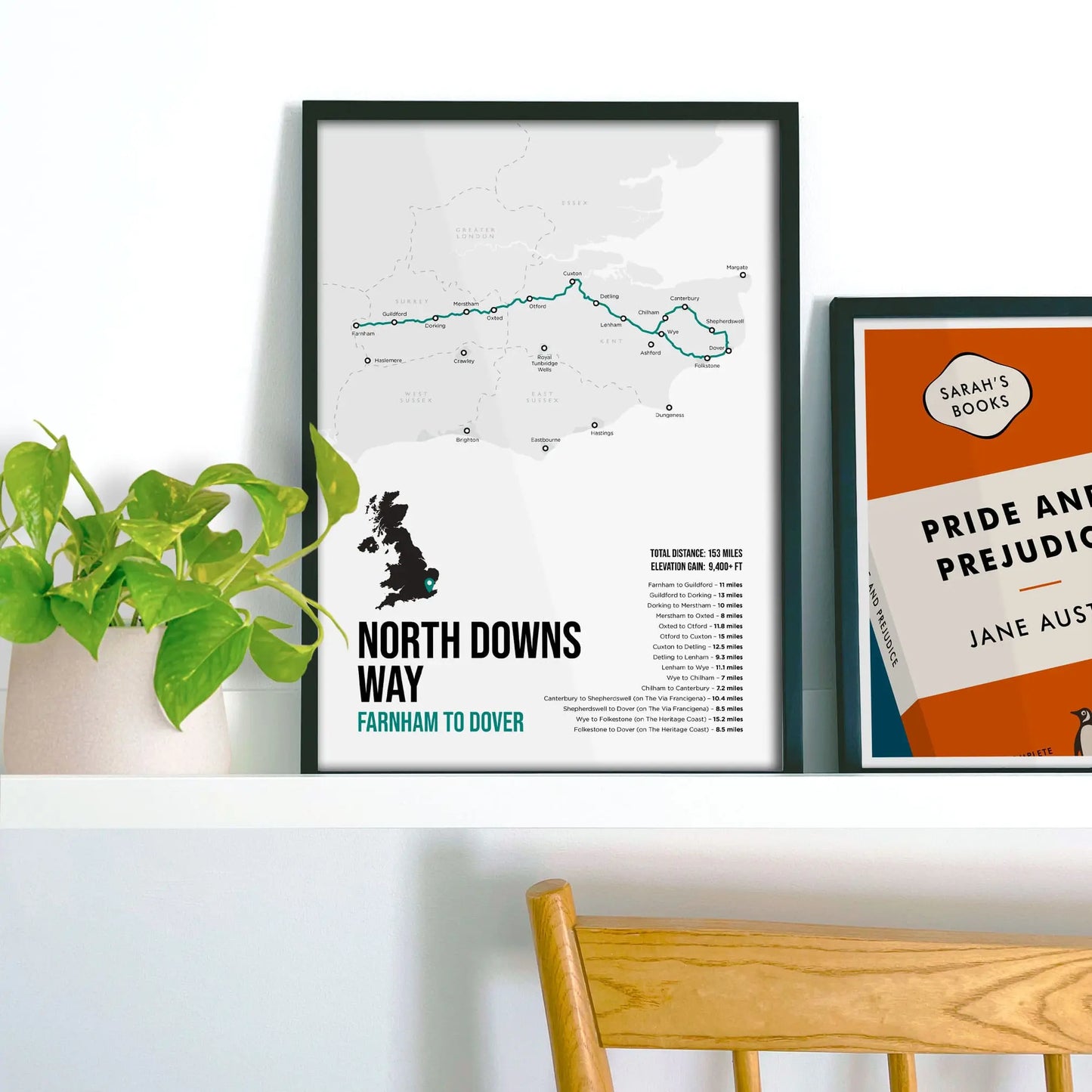 Framed picture on shelf beside a houseplant and another print.