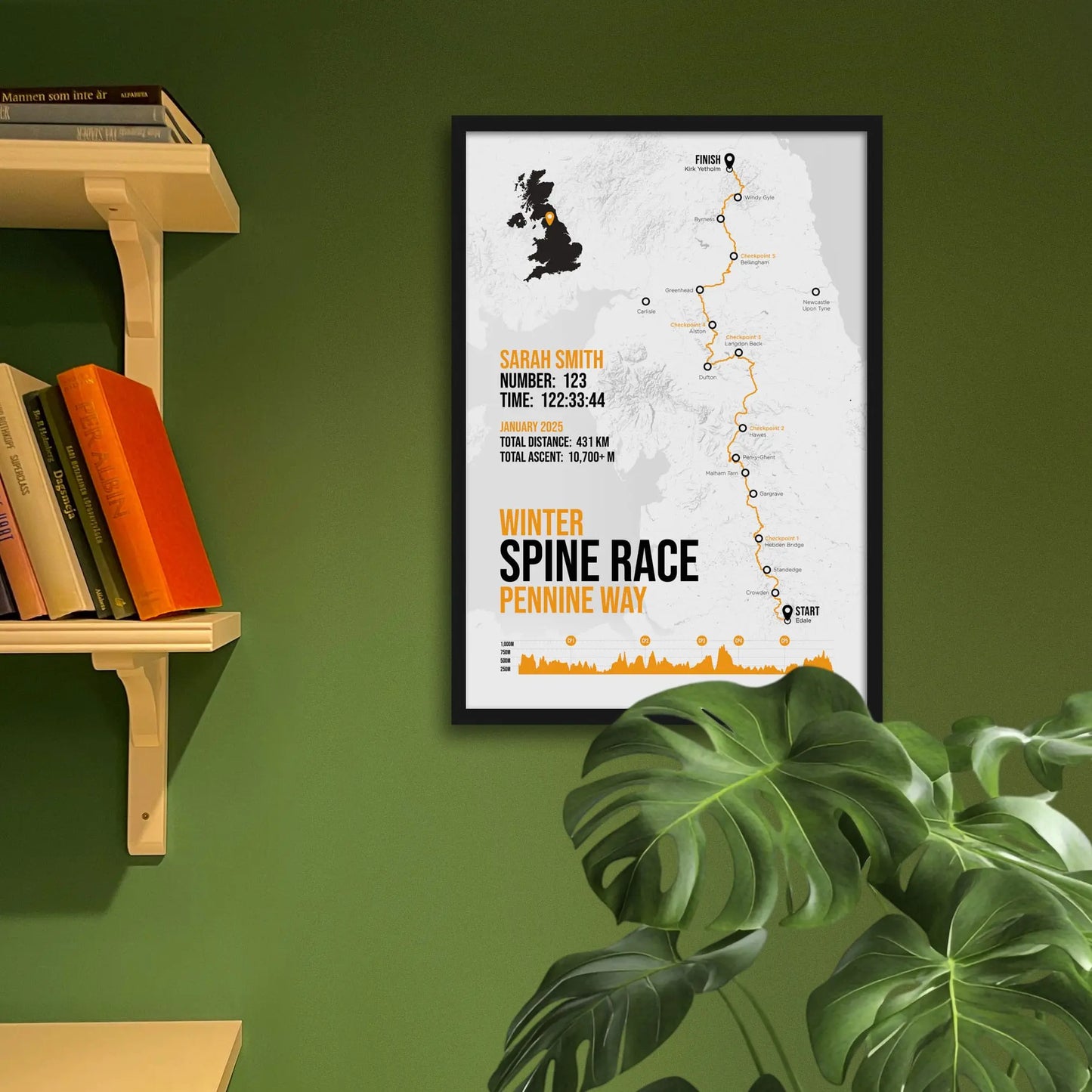 Framed art print on a green wall beside shelves.