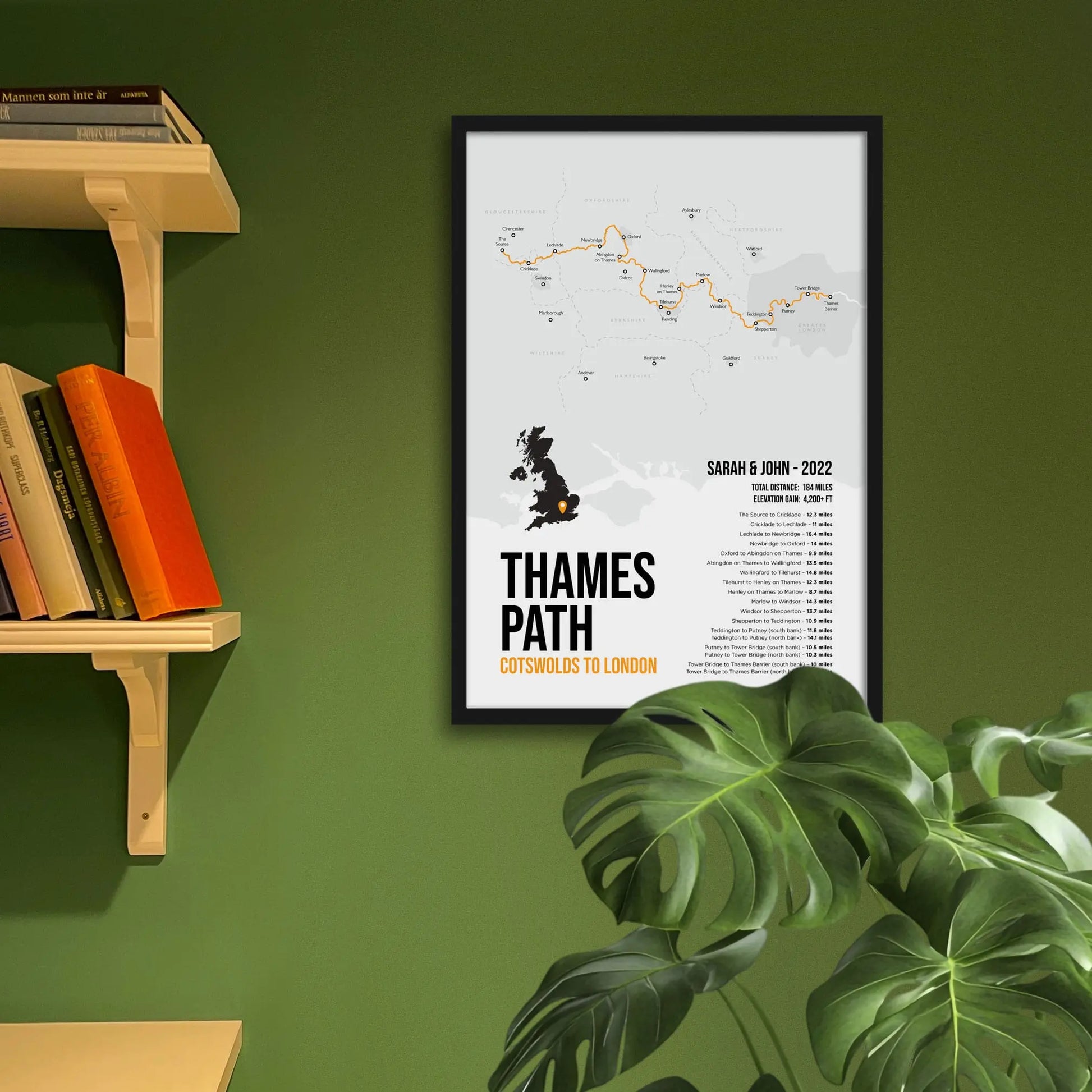 Framed art print on a green wall beside shelves.