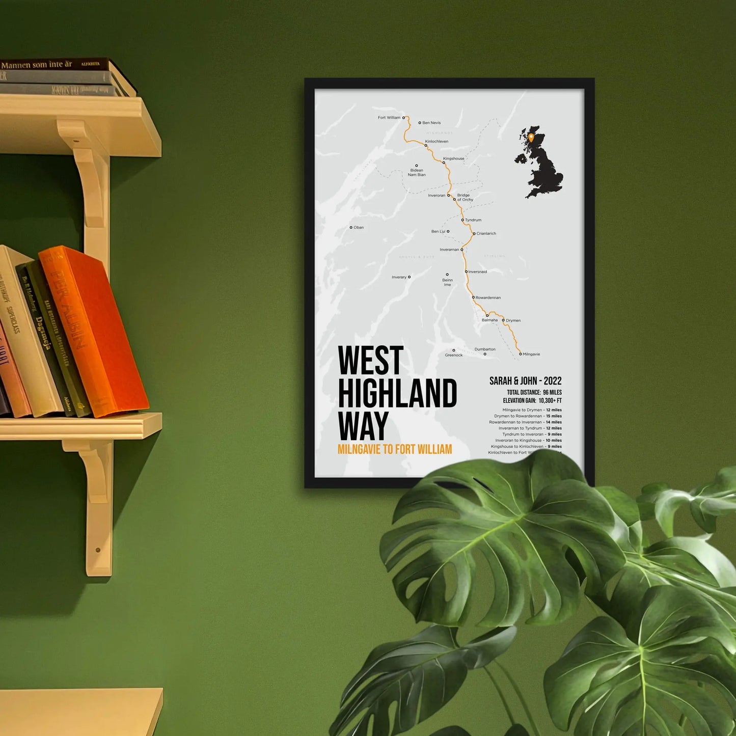 Framed print on green wall beside shelves behind houseplant.