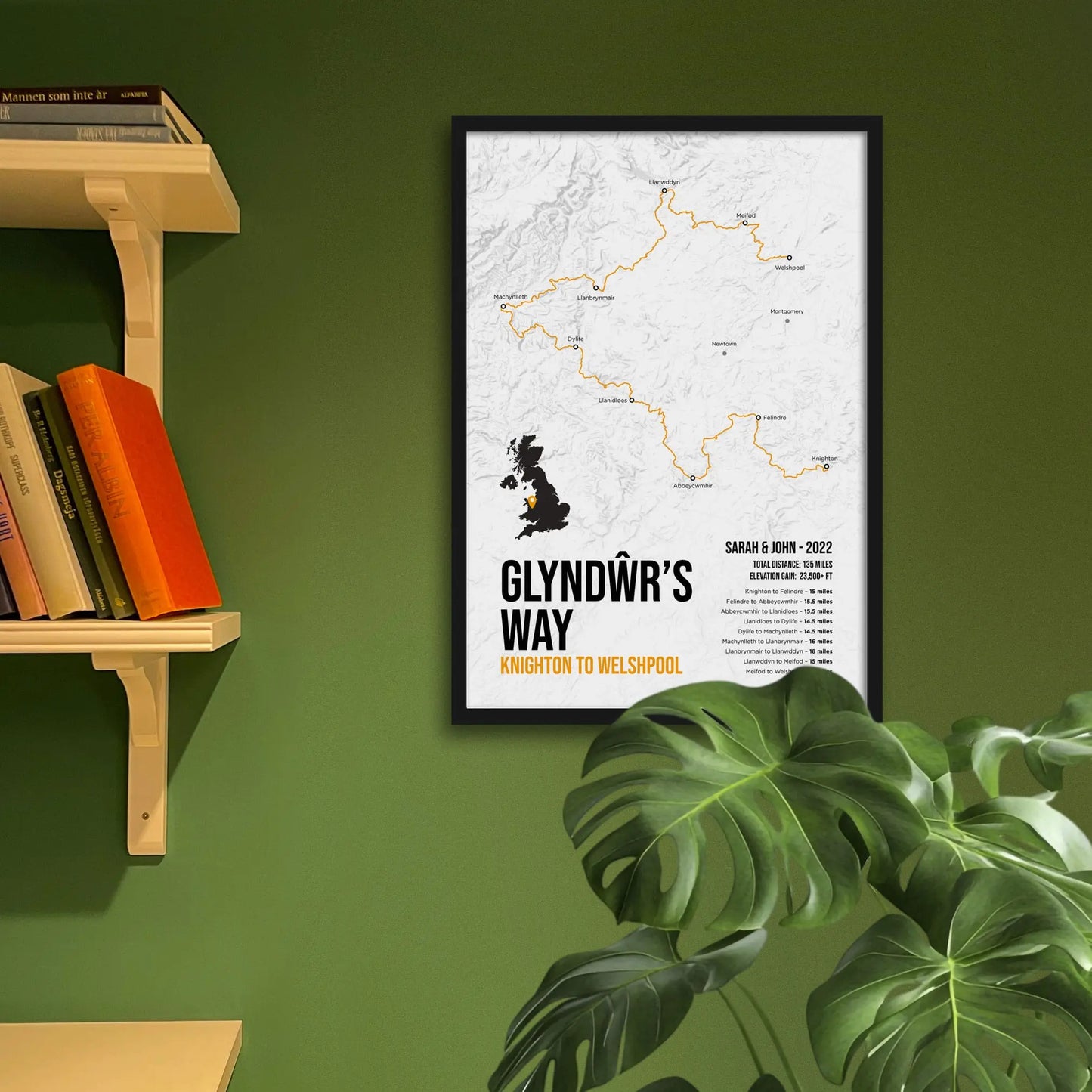 Framed art print on a green wall beside shelves.