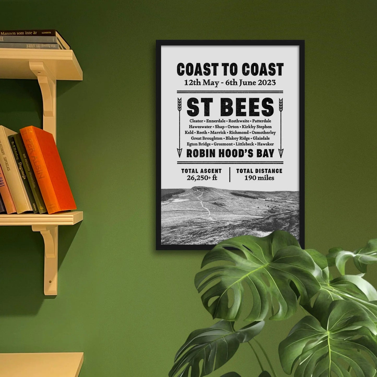 Framed print hanging on green wall beside shelves