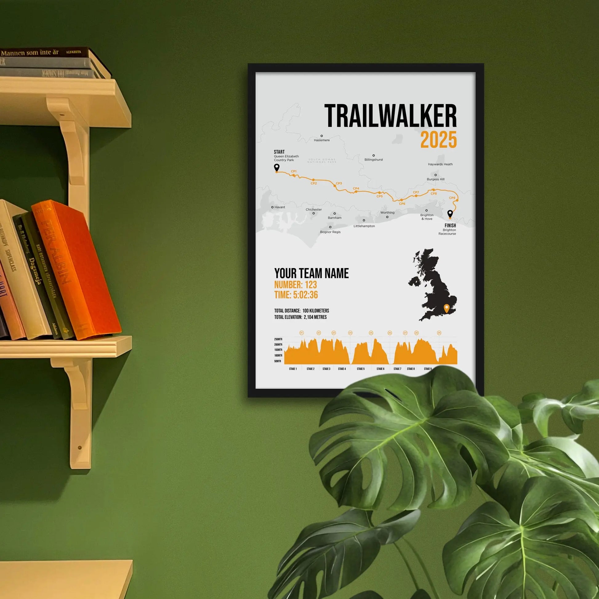 Framed print on green wall beside shelves behind a large houseplant