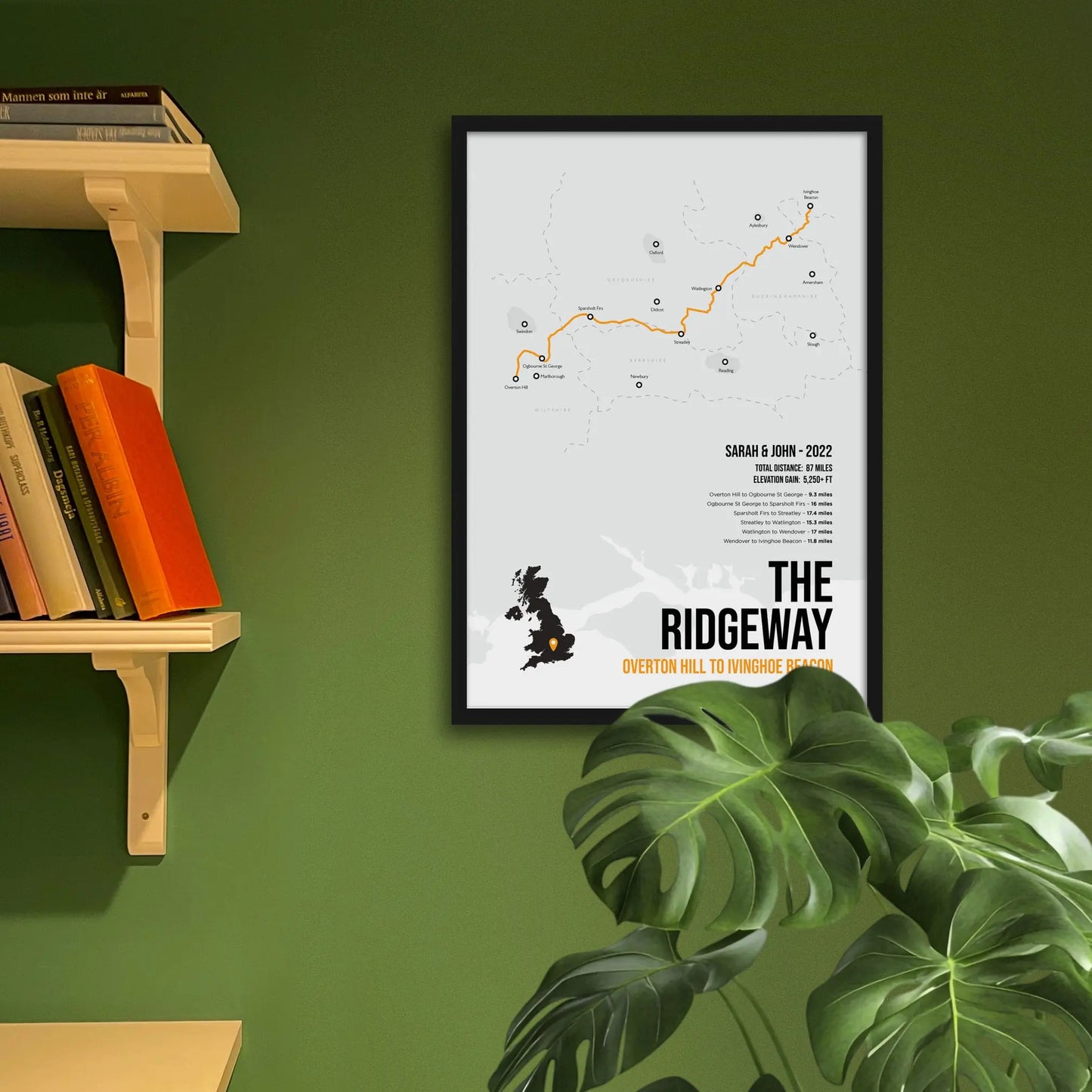 Framed print on green wall beside shelves behind houseplant.