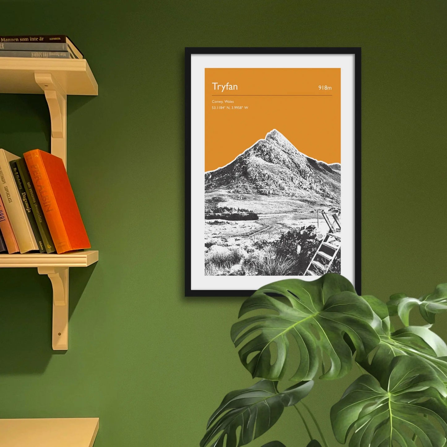 Framed art print on a green wall beside shelves.
