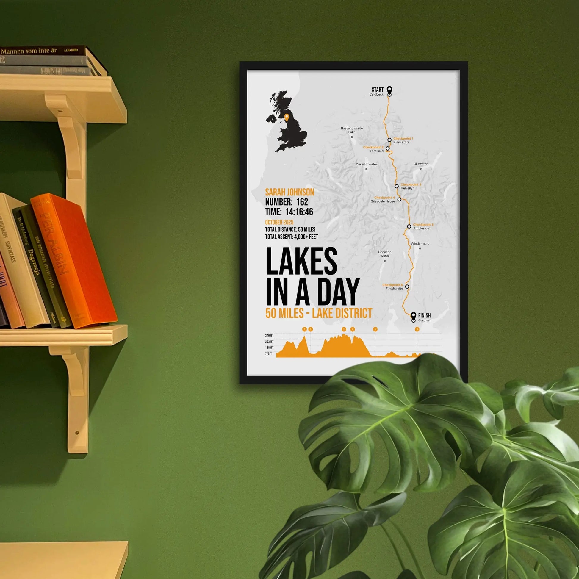 Framed art print on a green wall beside shelves.