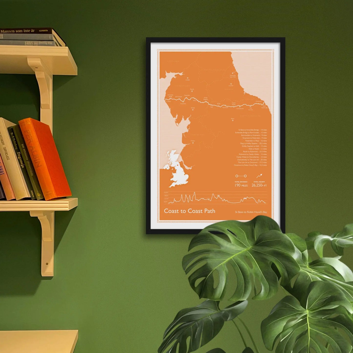 Framed print hanging on green wall beside shelves