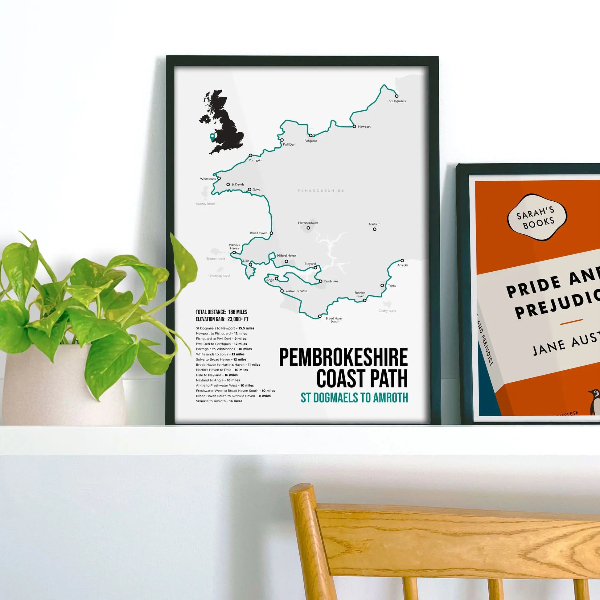 Framed picture on shelf beside a houseplant and another print.