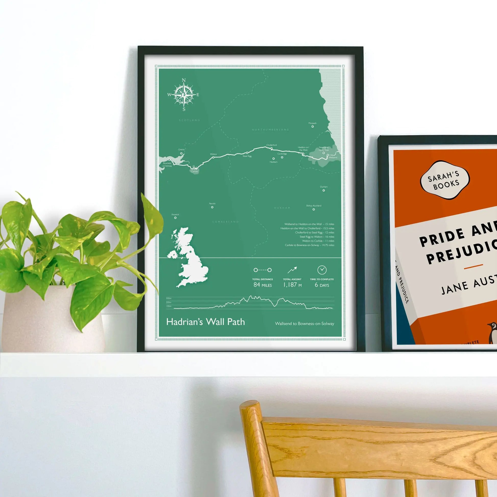 Framed picture on shelf beside a houseplant and another print.
