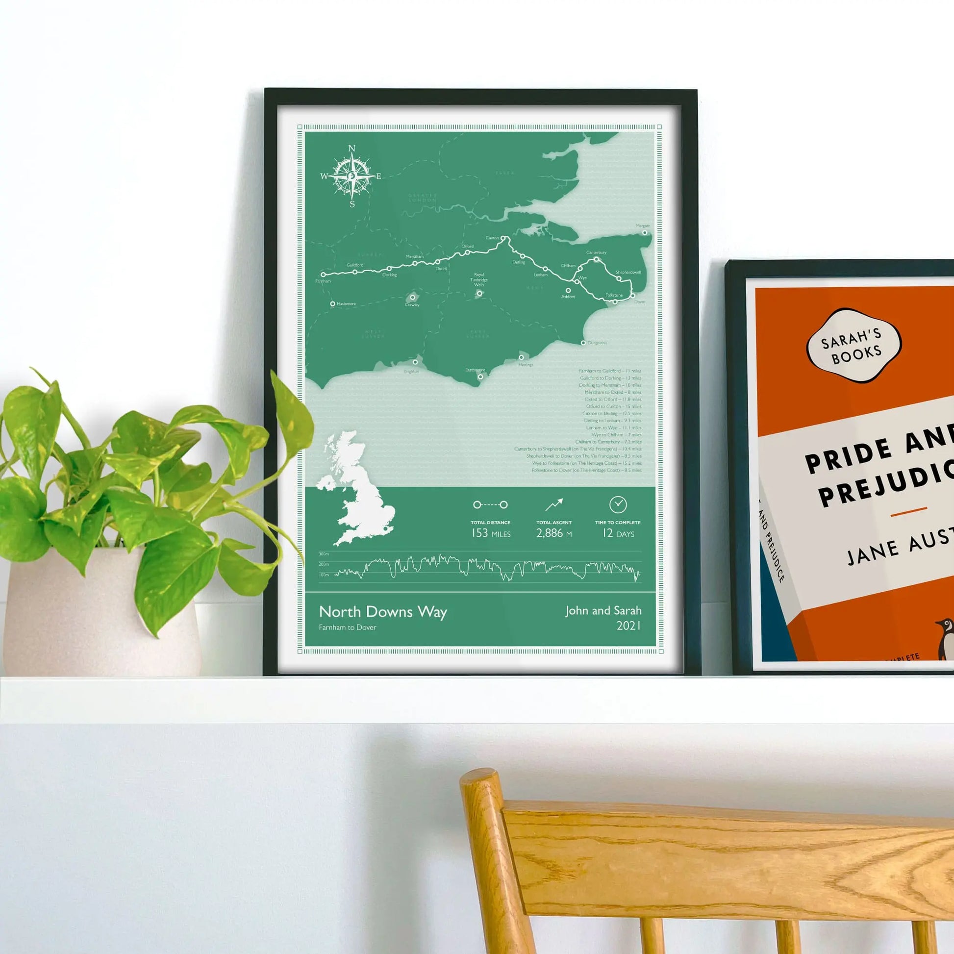 Framed picture on shelf beside a houseplant and another print.