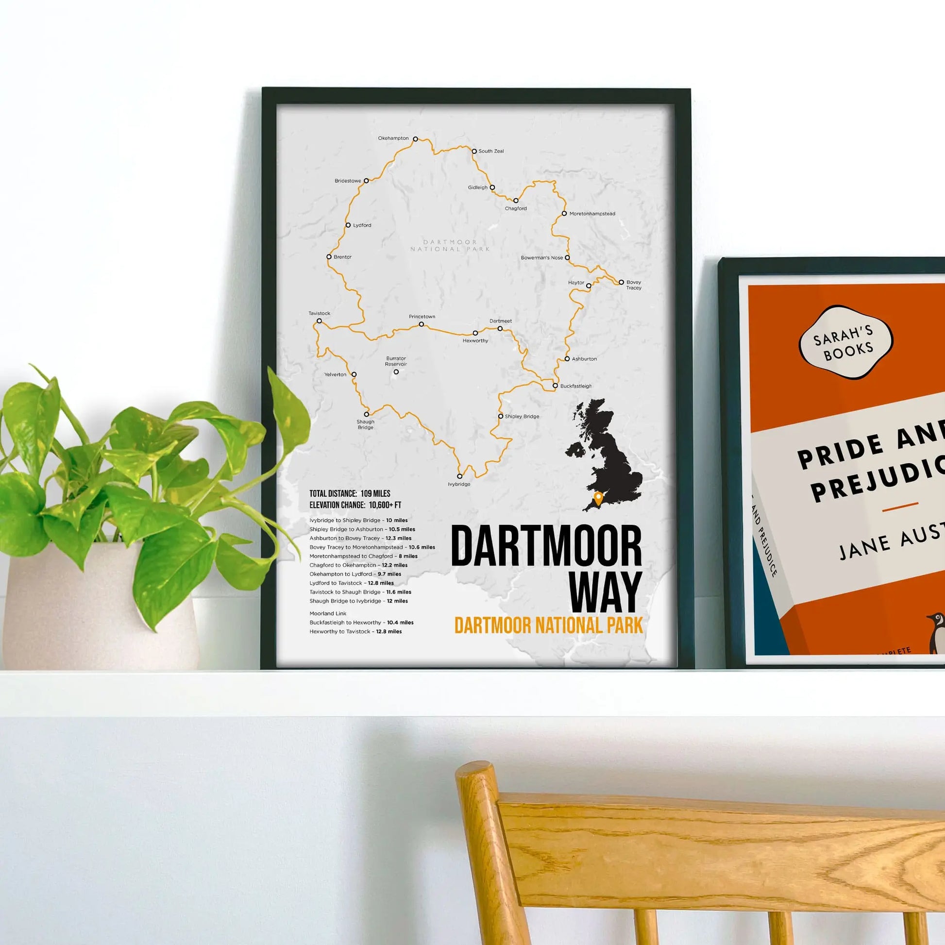 Framed picture on shelf beside a houseplant and another print.