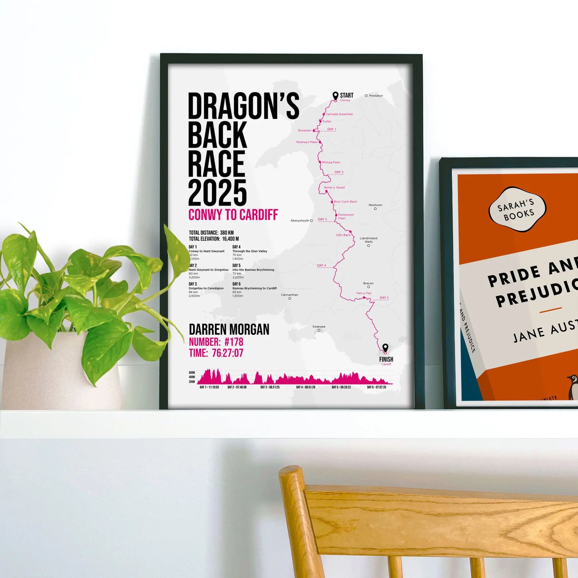 Framed print propped up on shelf beside a houseplant