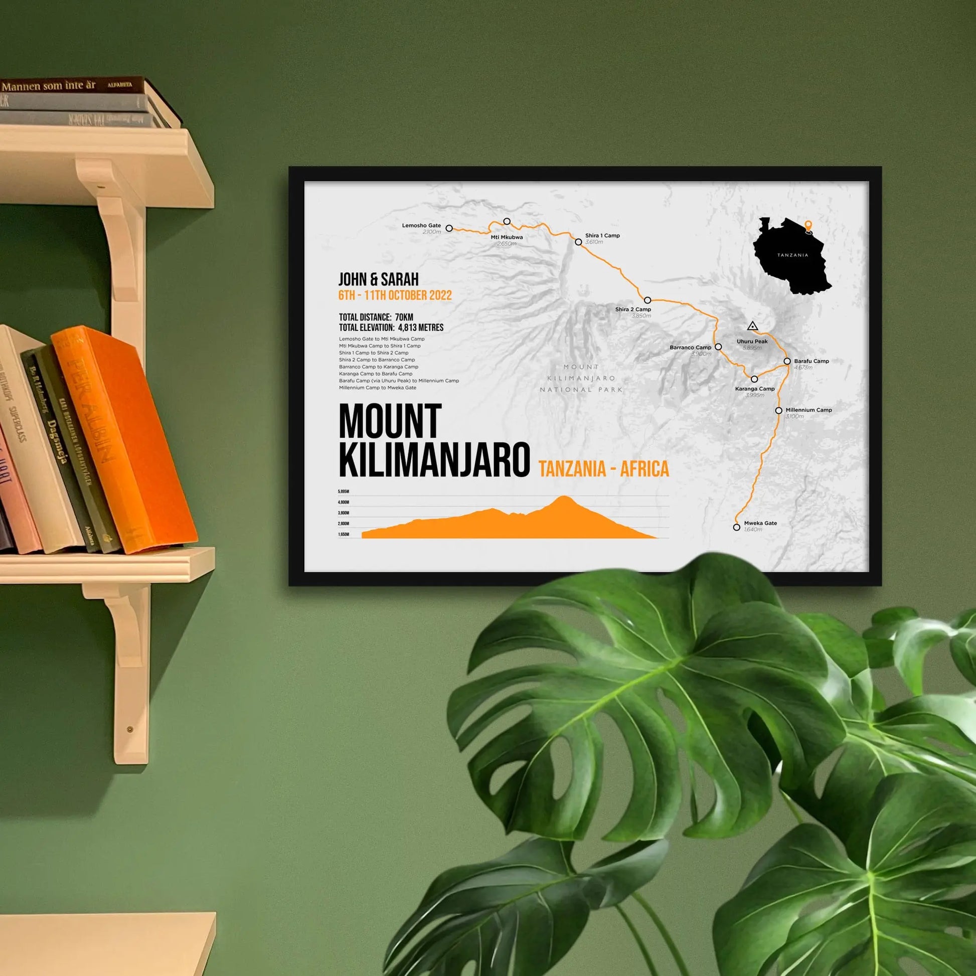 Framed art print on a green wall beside shelves.
