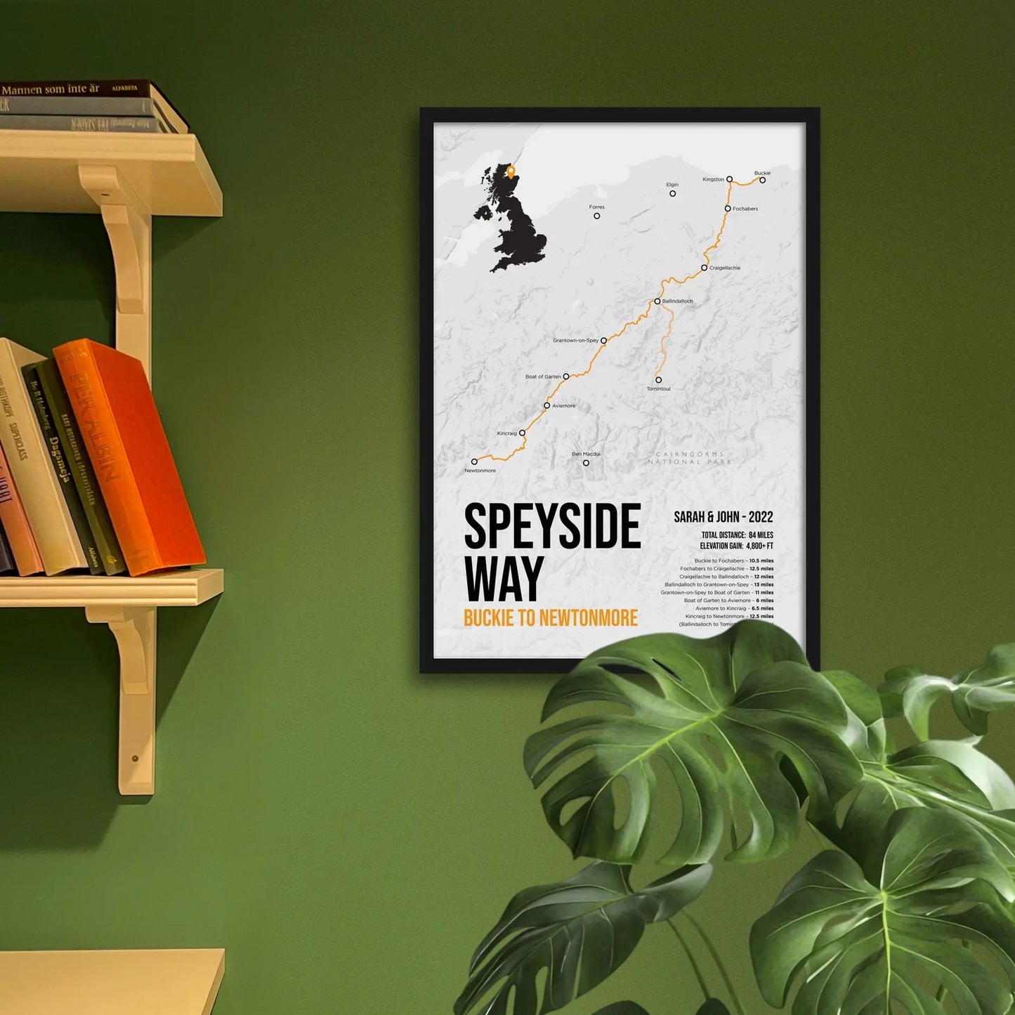 Framed print on green wall beside shelves behind houseplant.
