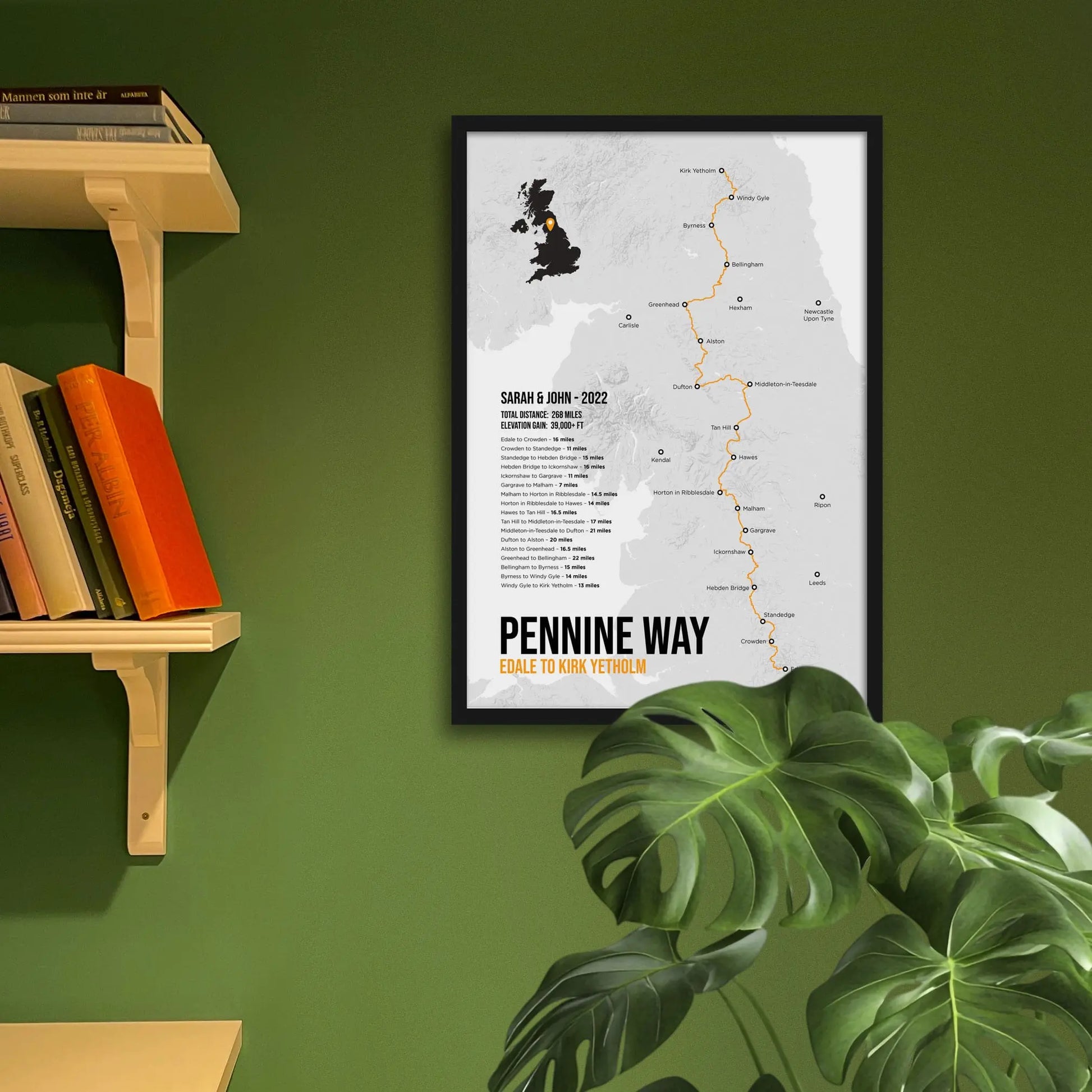Framed print on a green wall beside shelves and behind a houseplant