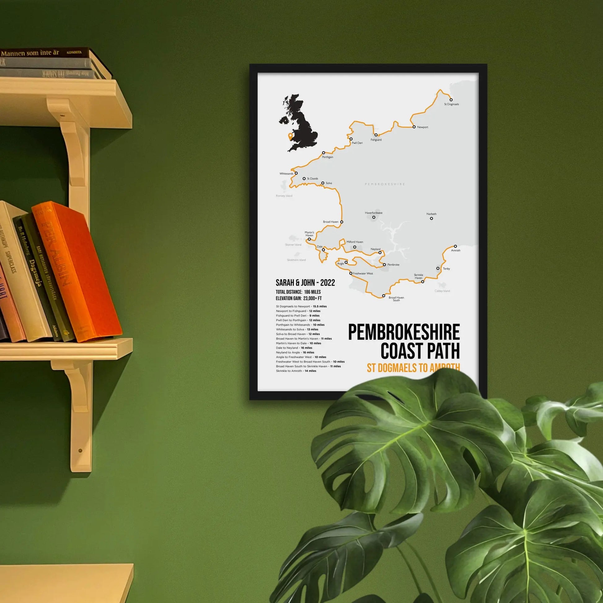 Framed print on green wall beside shelves behind houseplant.