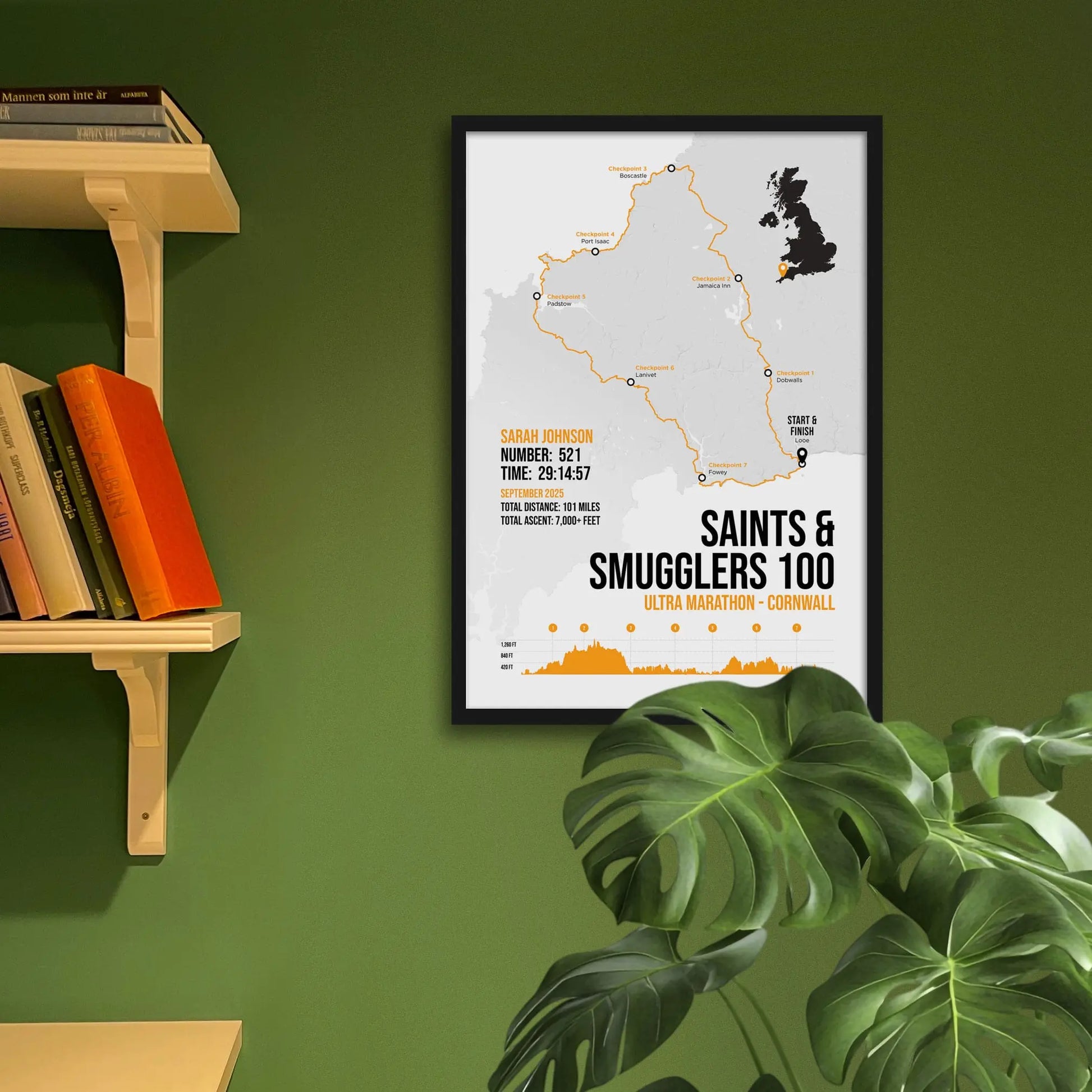 Framed art print on a green wall beside shelves.