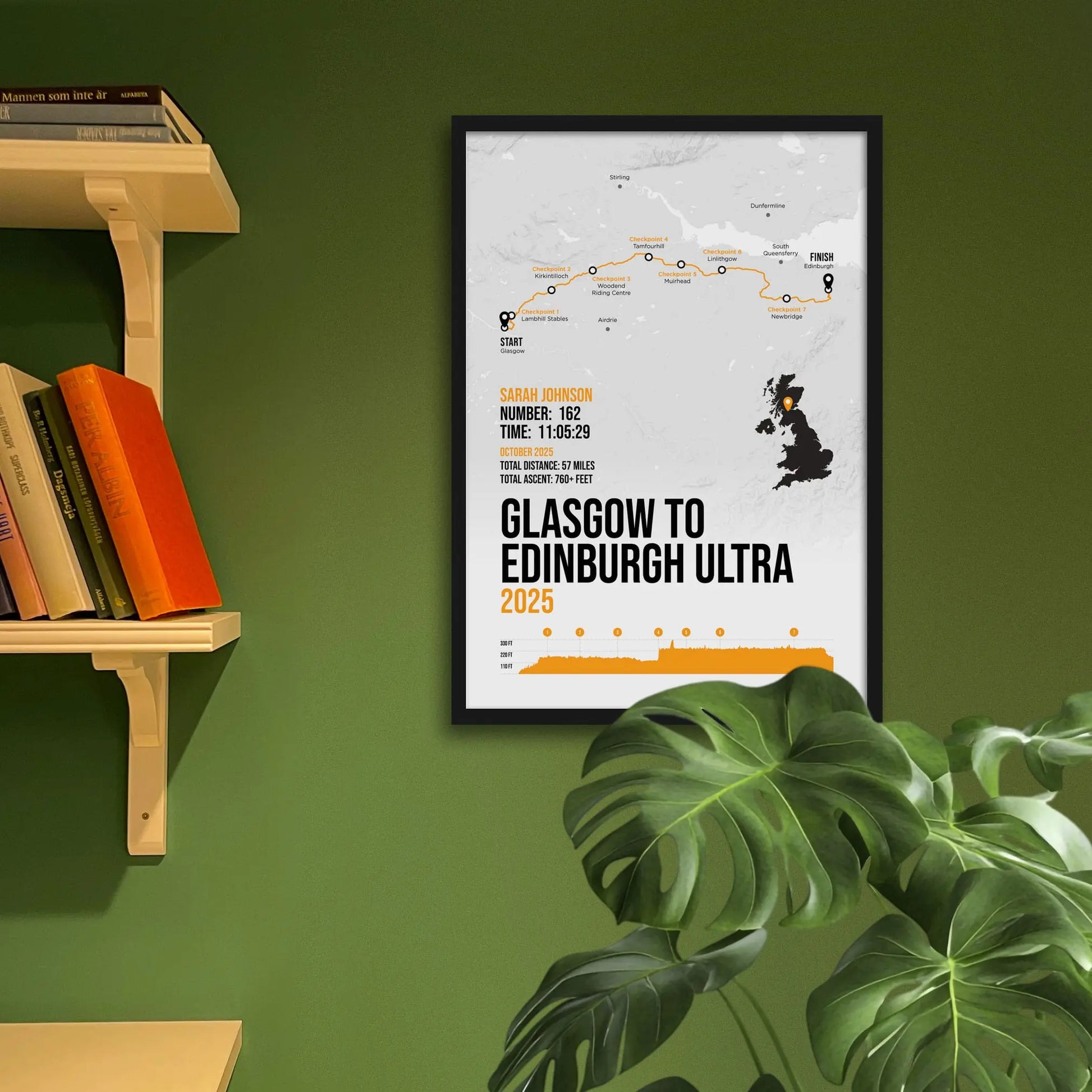 Framed print on green wall beside shelves behind houseplant.