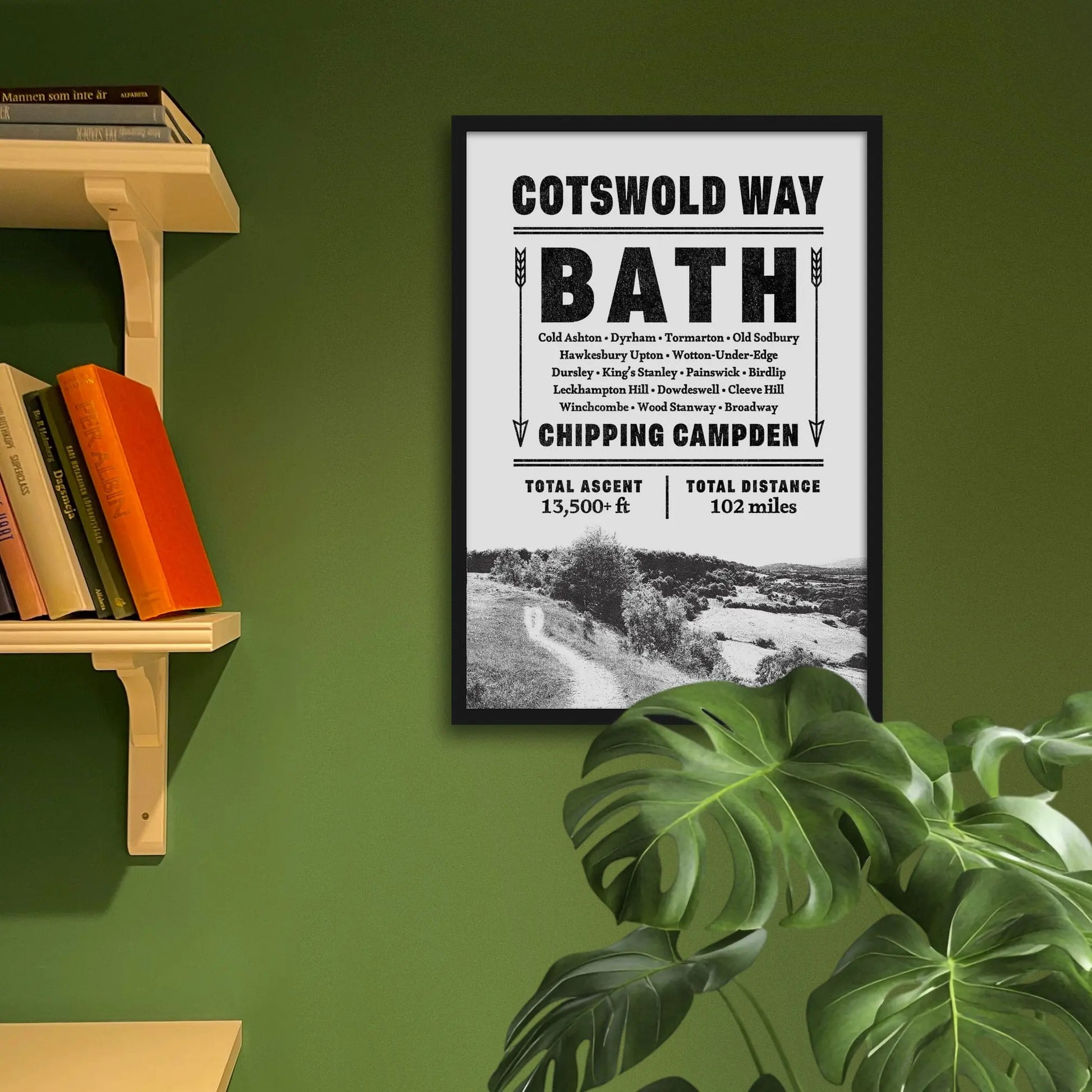 Framed art print on a green wall beside shelves.