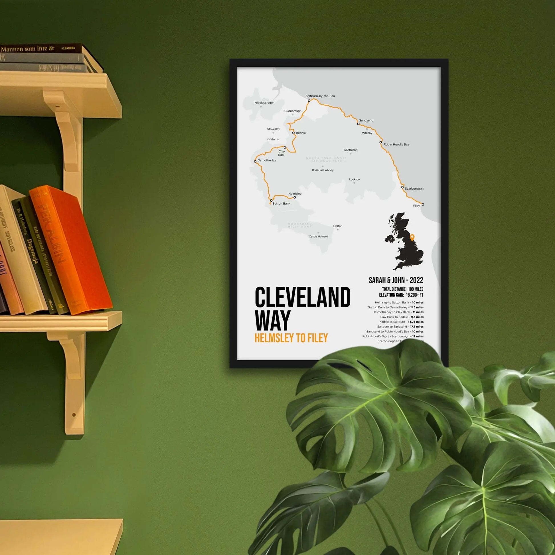 Framed print on green wall beside shelves
