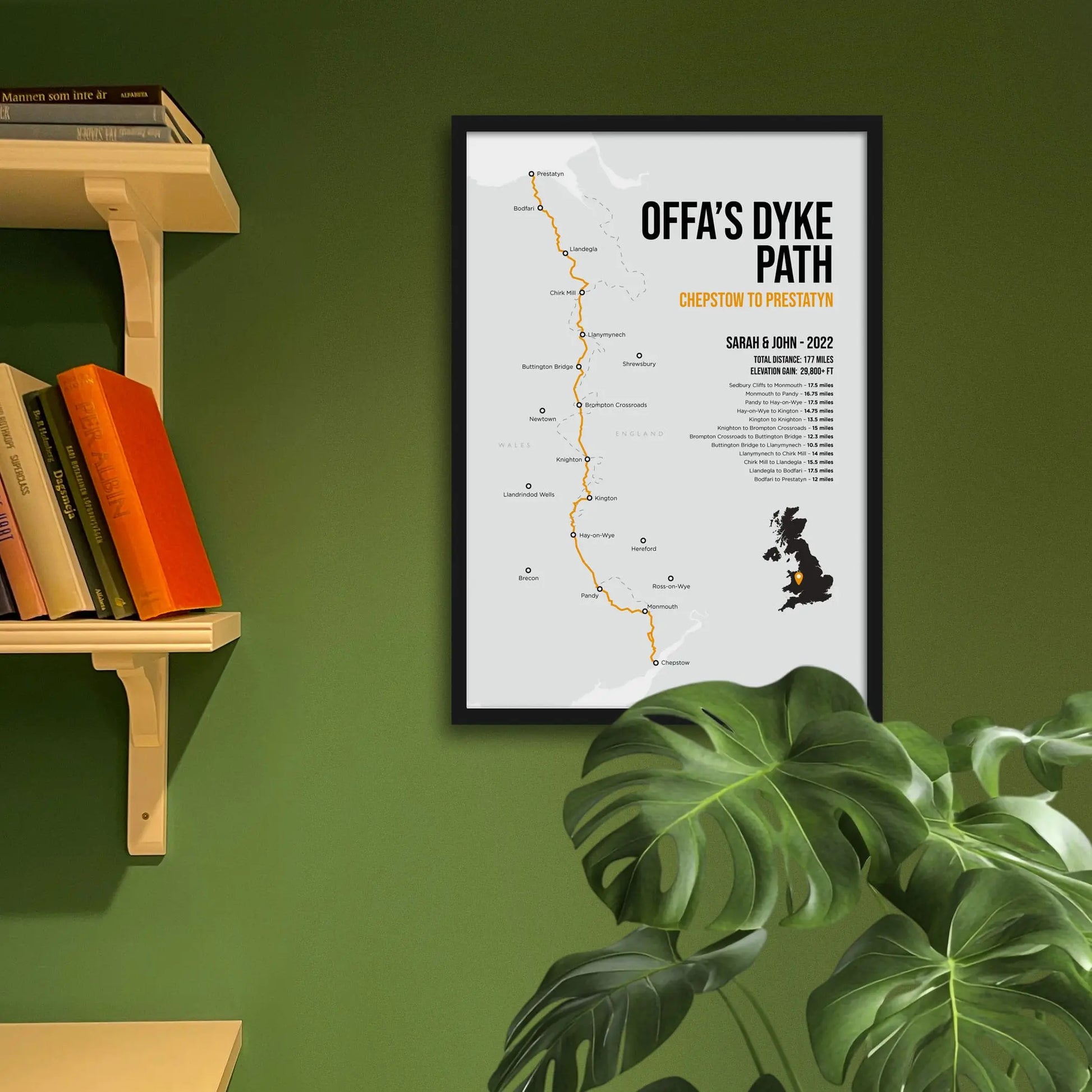 Framed print on green wall beside shelves behind houseplant.