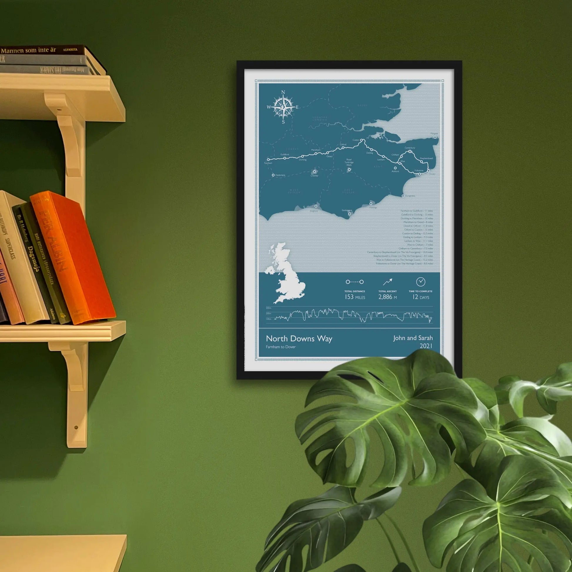 Framed art print on a green wall beside shelves.