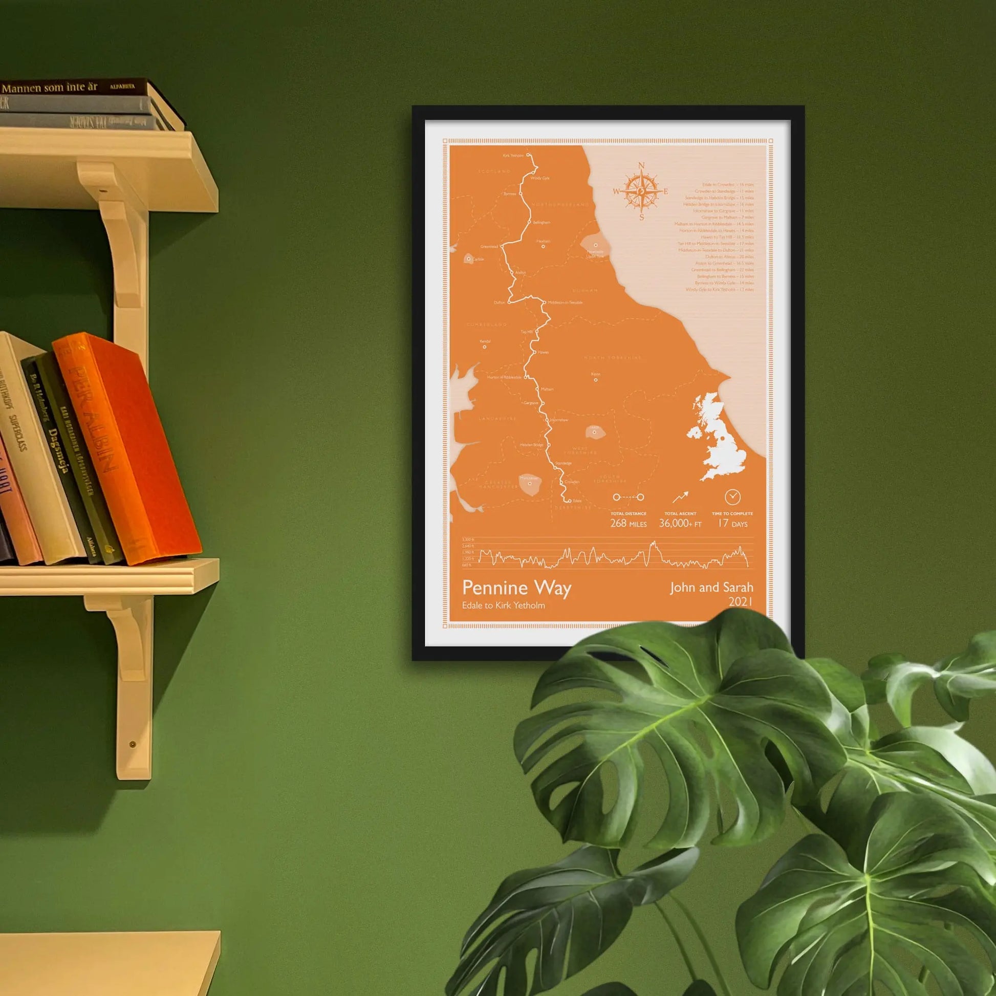 Framed art print on a green wall beside shelves.