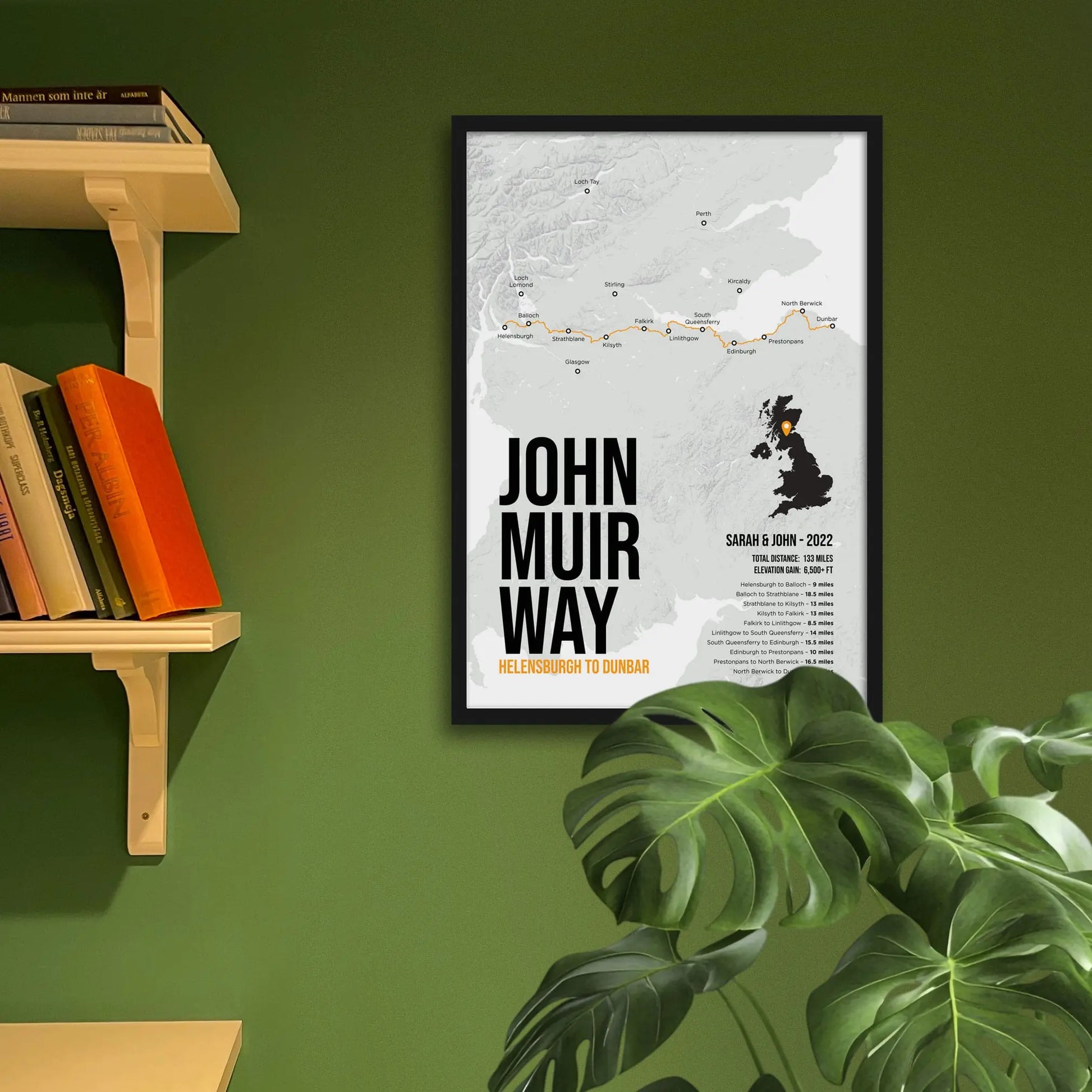 Framed print on green wall beside shelves behind houseplant.