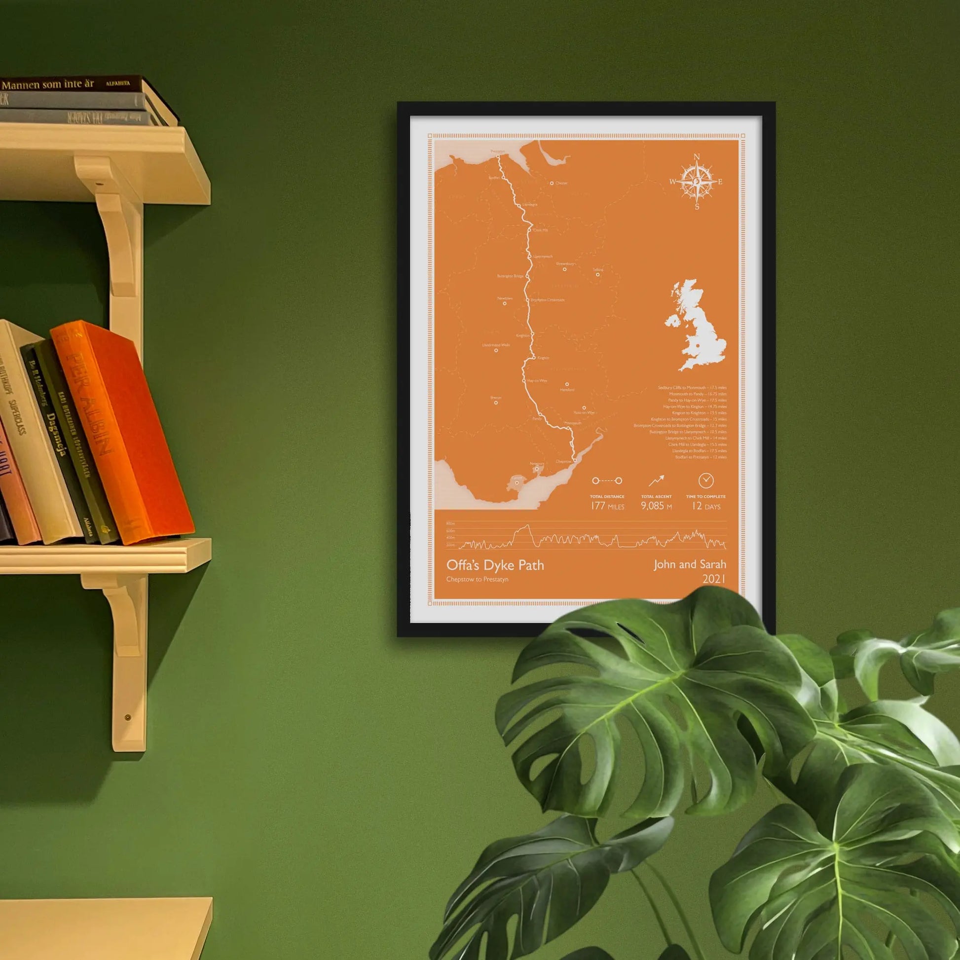 Framed art print on a green wall beside shelves.