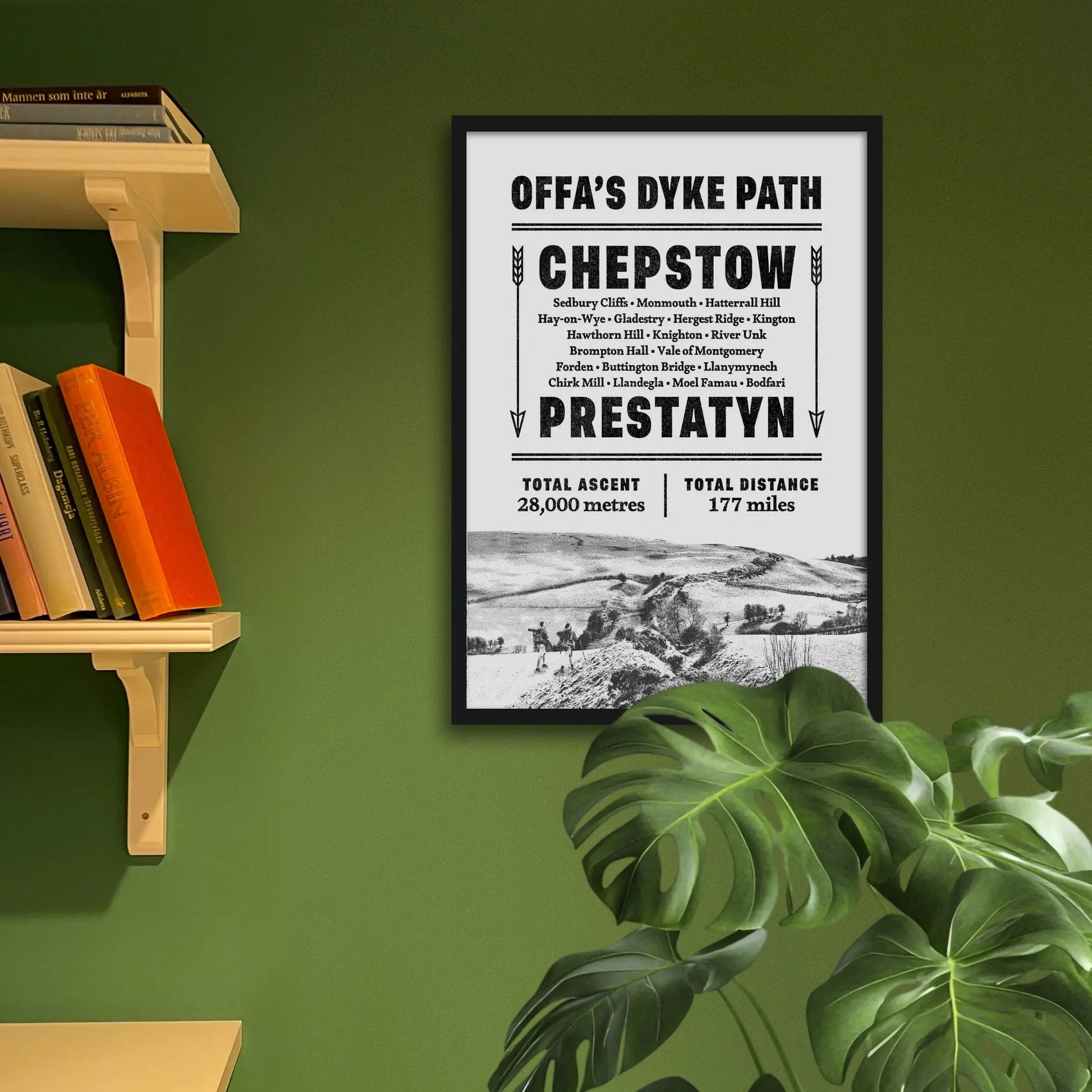 Framed art print on a green wall beside shelves.