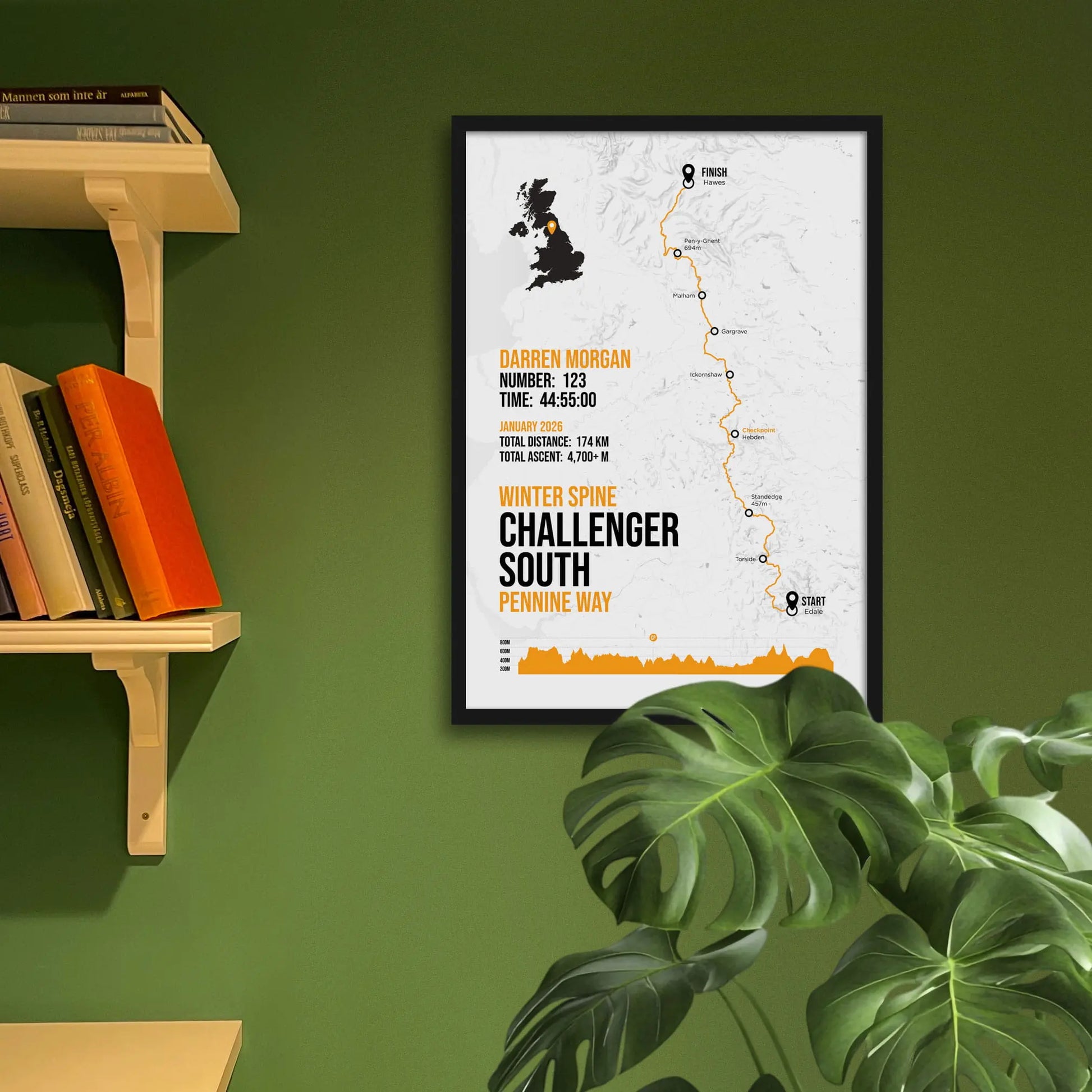 Framed art print on a green wall beside shelves.