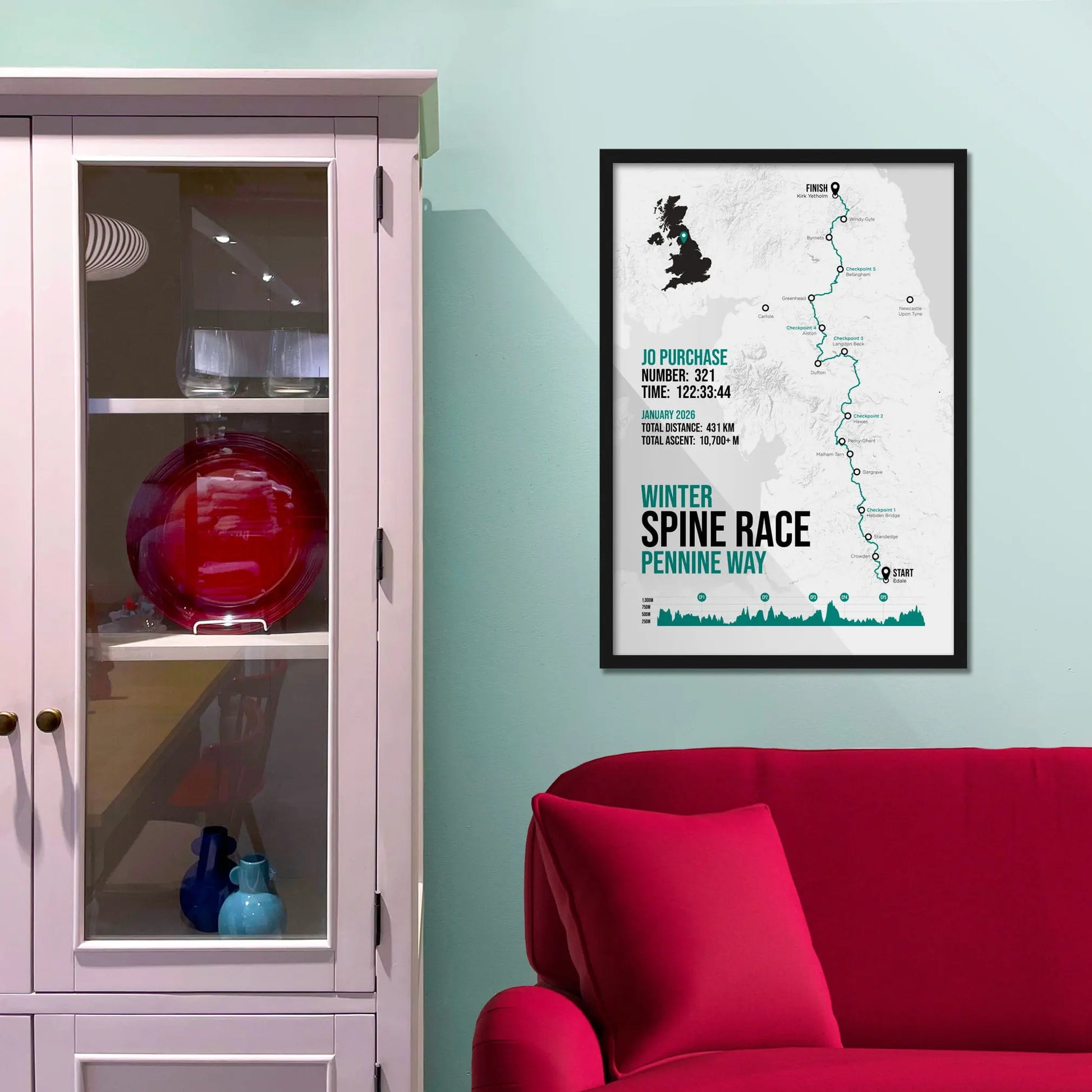 Framed picture on a baby blue wall beside pink shelving