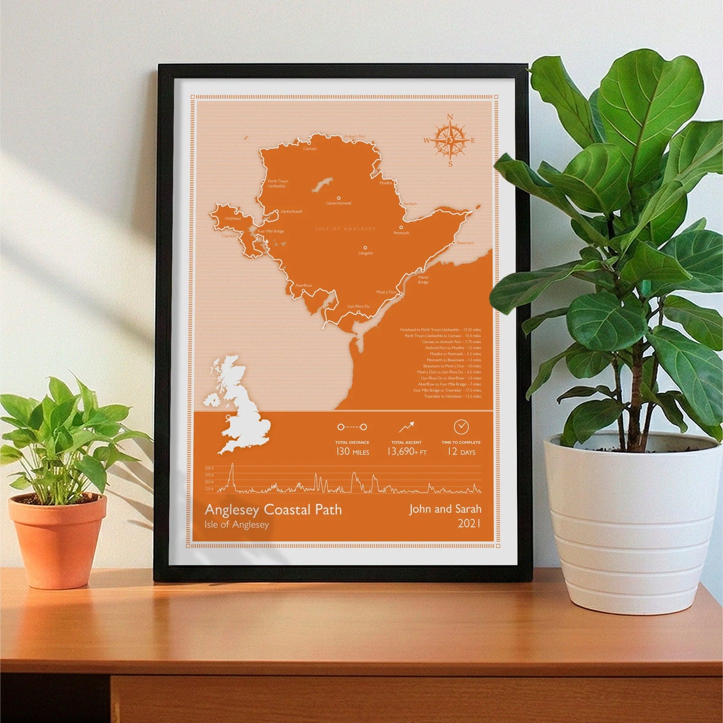 Framed print on sideboard beside a plant