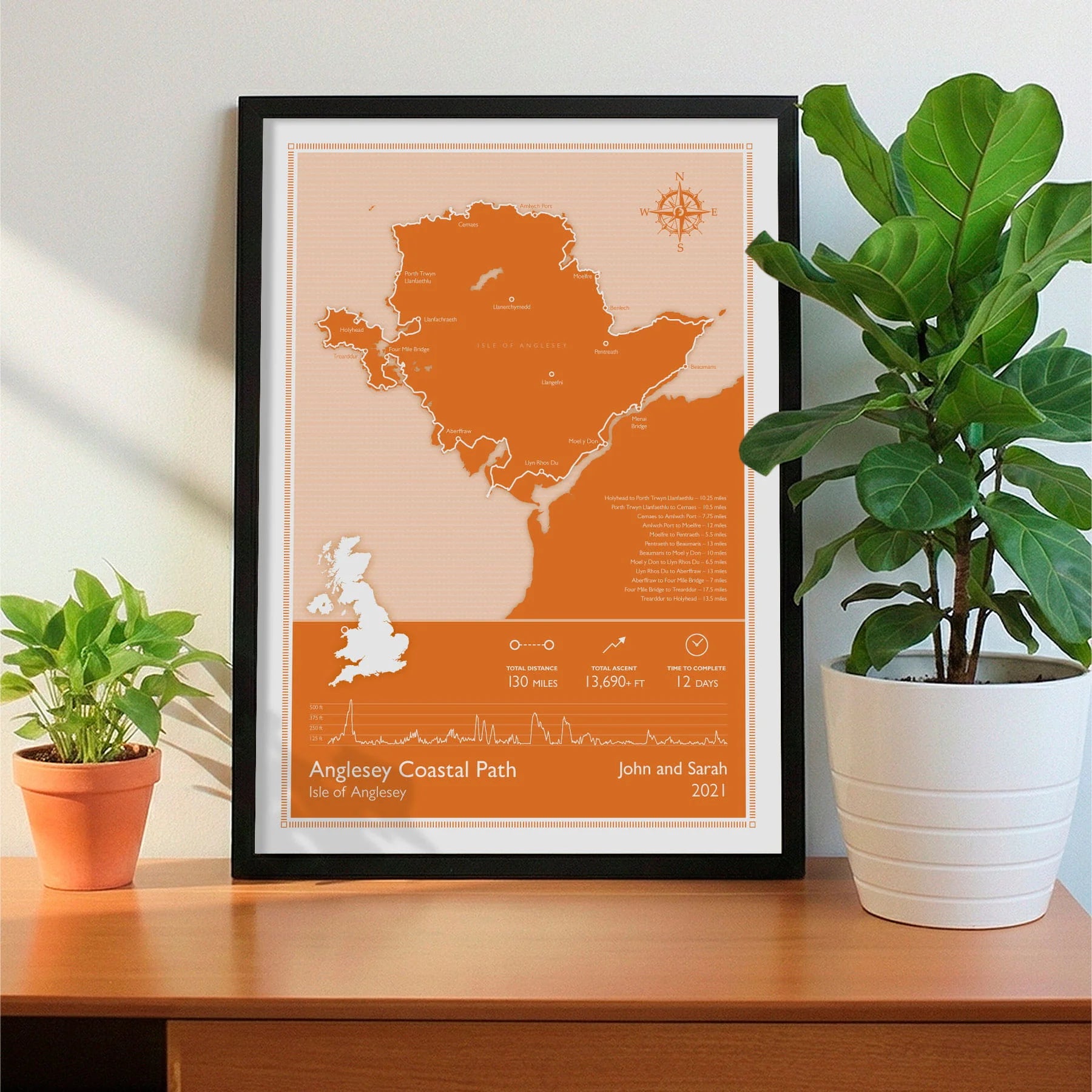 Framed print on sideboard beside a plant