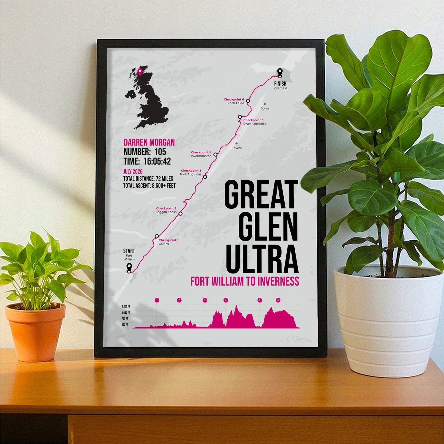 Framed print propped up on sideboard beside a houseplant