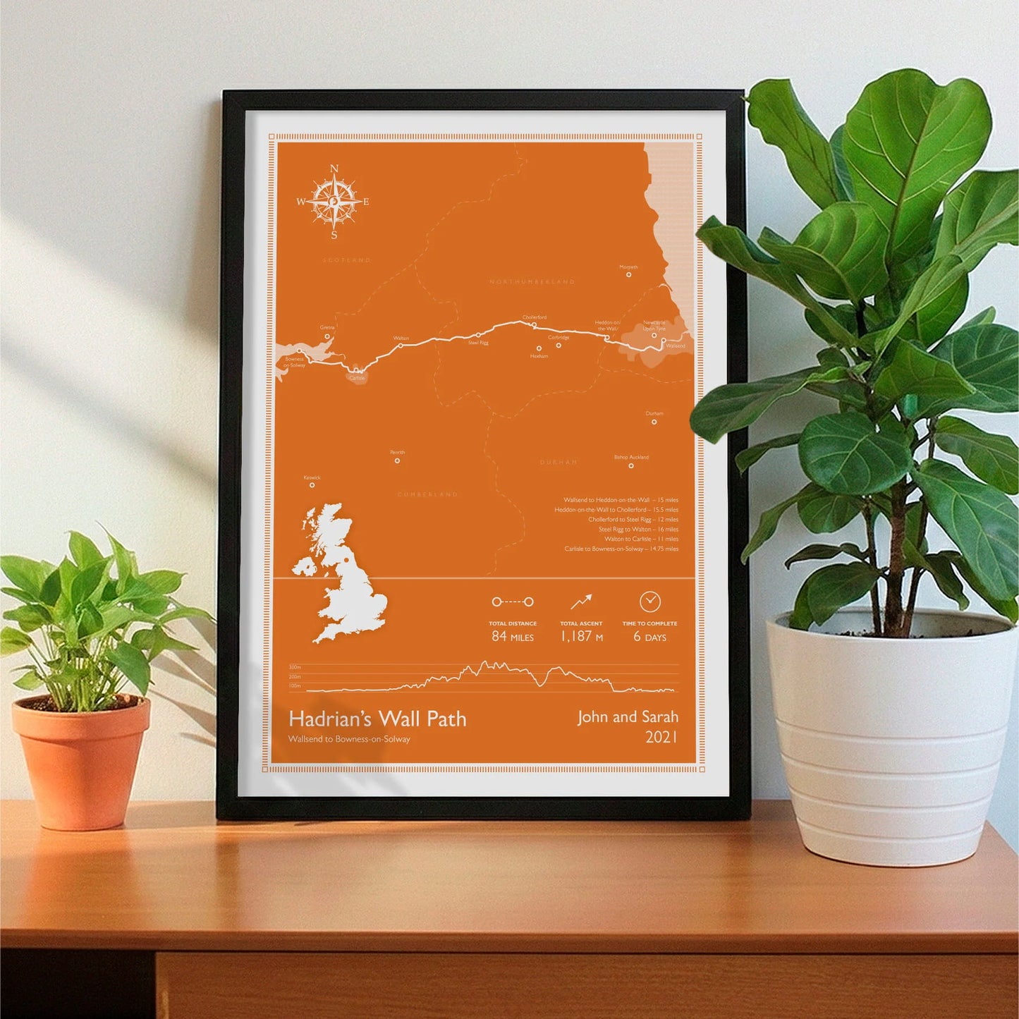 Framed print on sideboard beside a plant