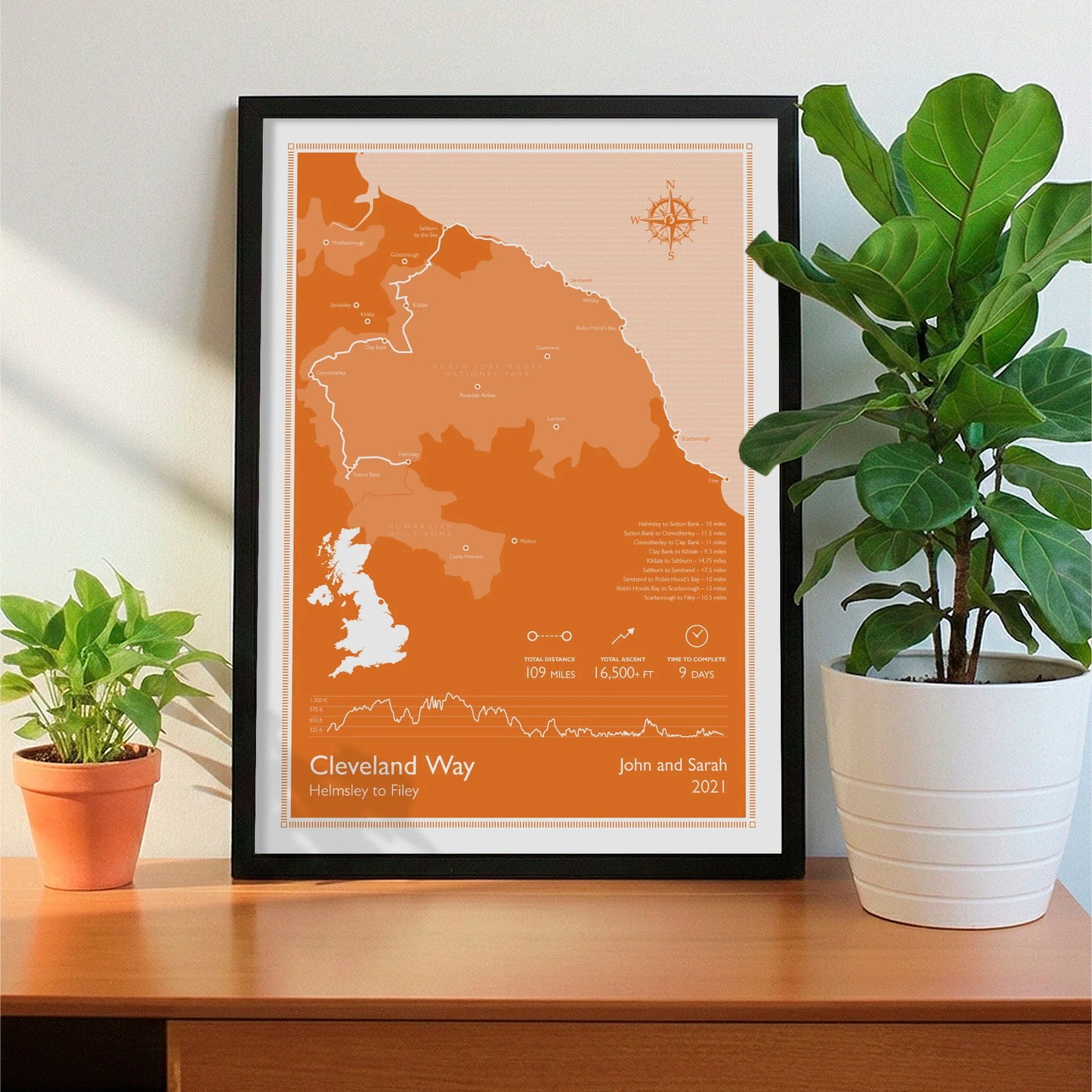 Framed print on sideboard beside a plant