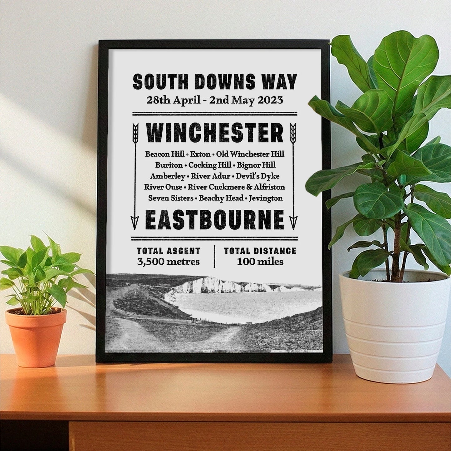 Framed print on sideboard beside a plant