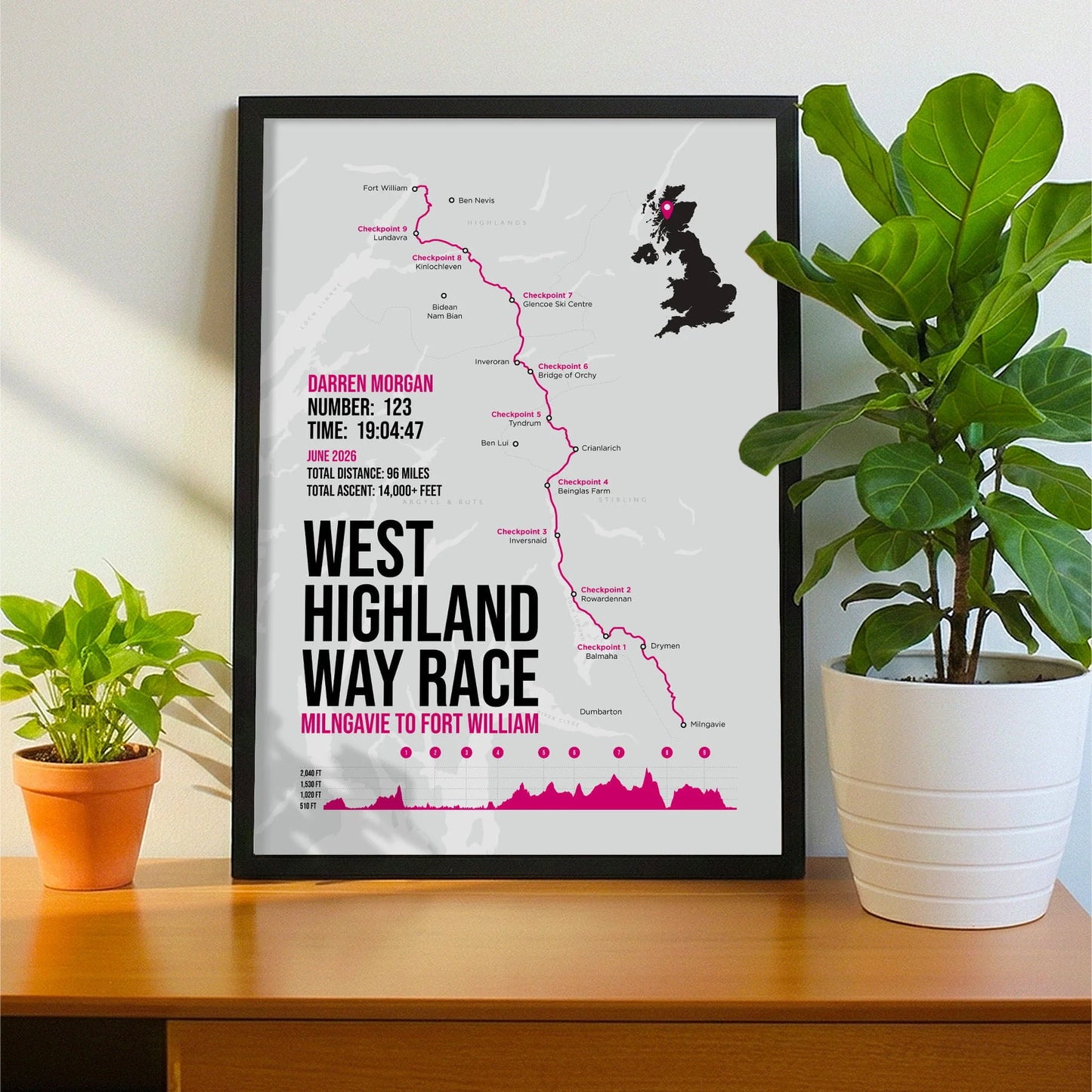 Framed print propped up on sideboard beside a houseplant
