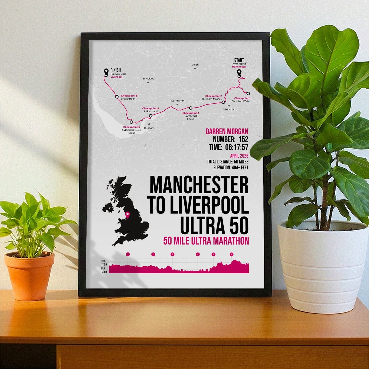 Framed print propped up on sideboard beside a houseplant