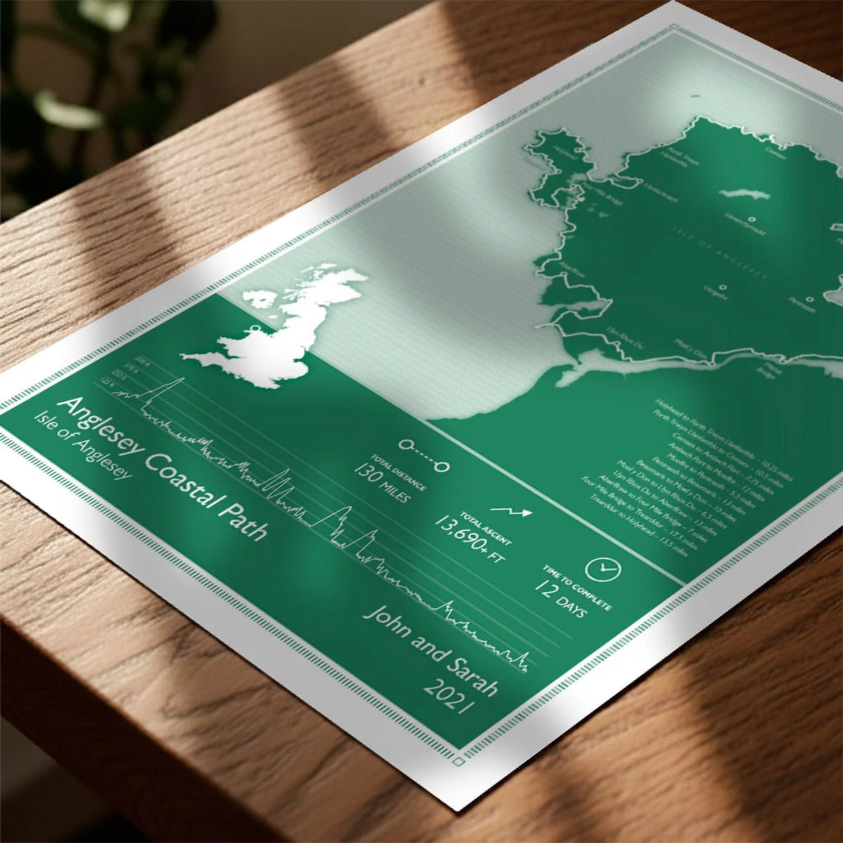 Print laying on table with speckled shade cast across the surface